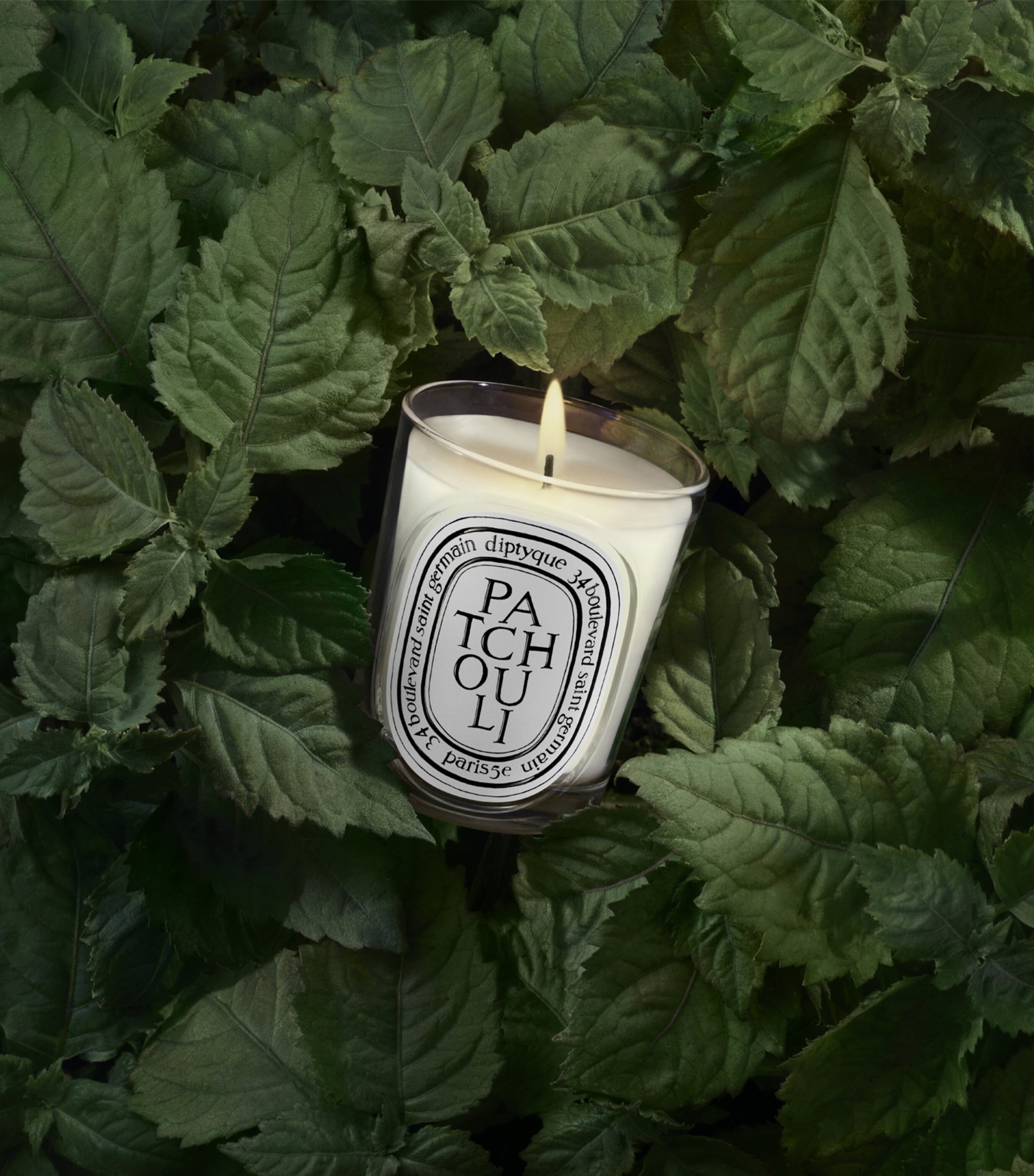 Diptyque Patchouli Candle (190g) Image 3