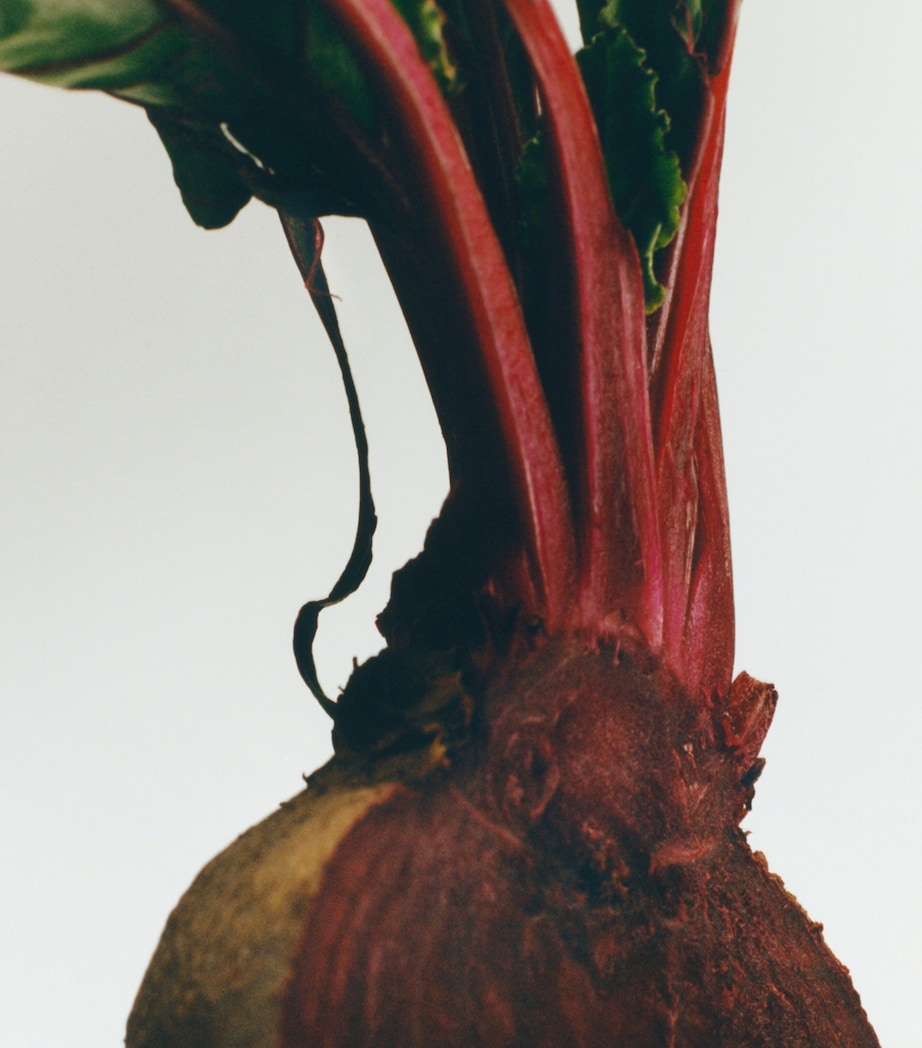 Beetroot Chandelier Candle (330g) NO COLOUR Image 3