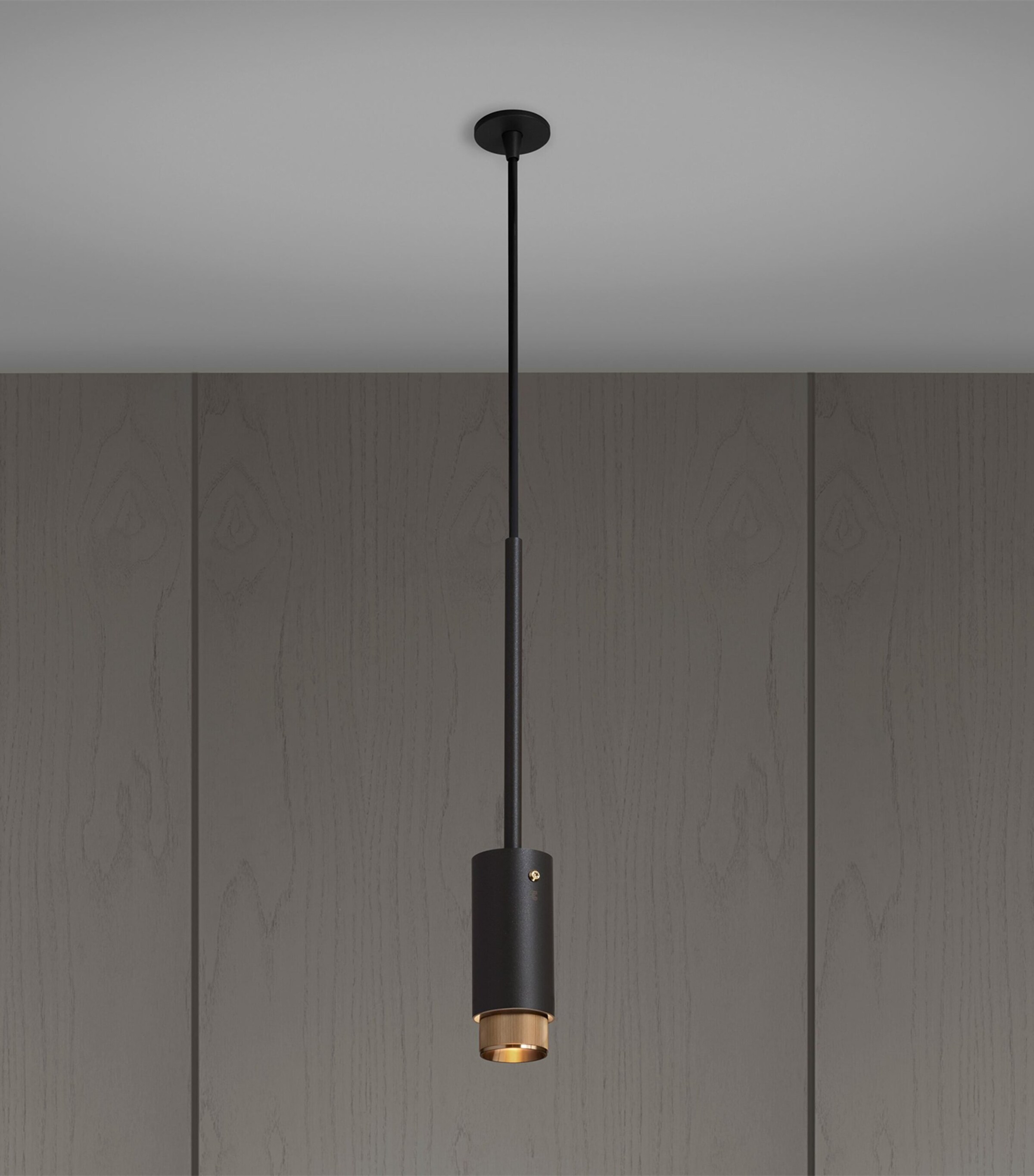 Buster + Punch Graphite Aluminium Exhaust Pendant Brass Image 2