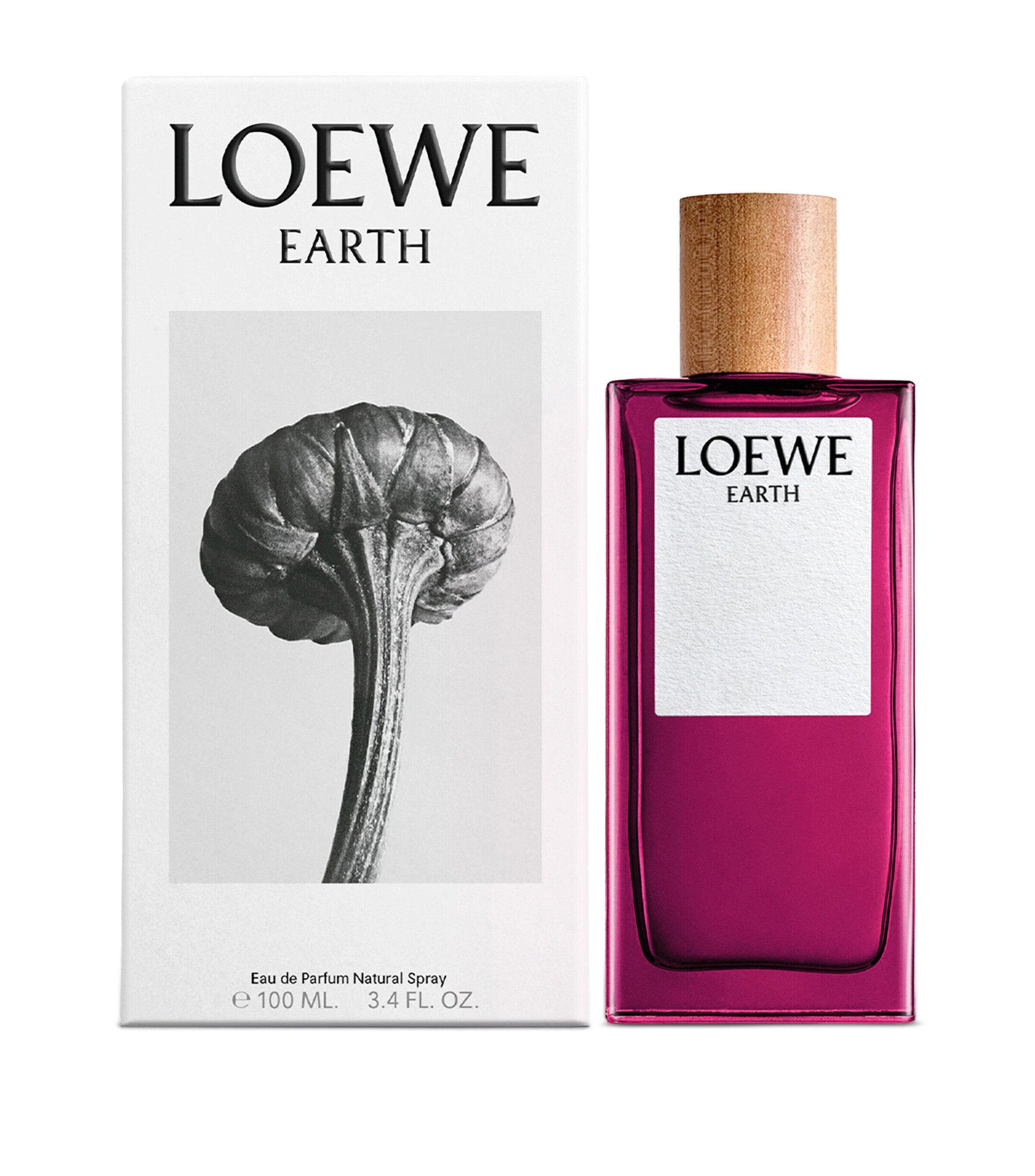 Earth Eau de Parfum (100ml) NO COLOUR Image 2