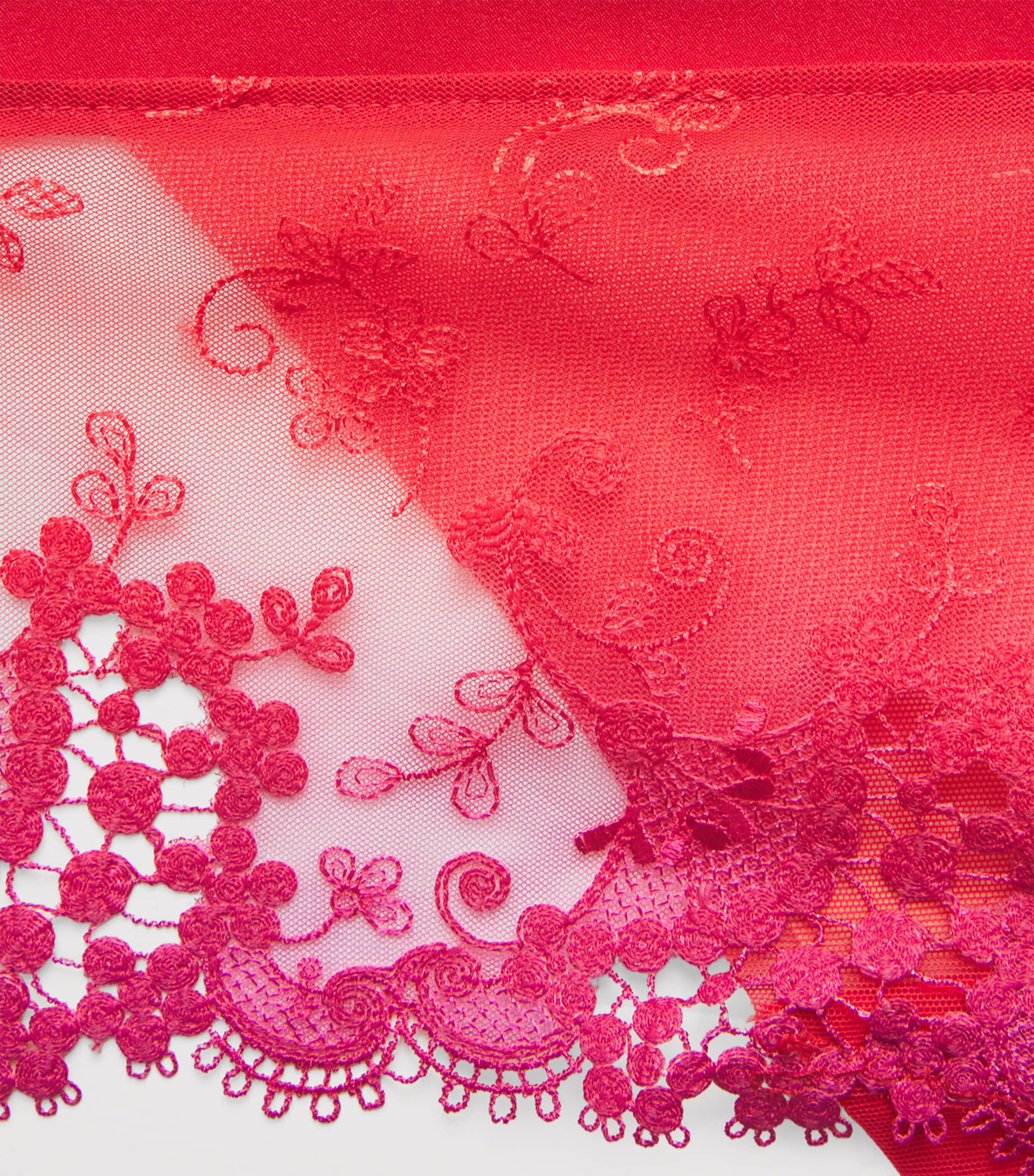 Lace Wish Briefs 160 RAINBOW RED Image 4