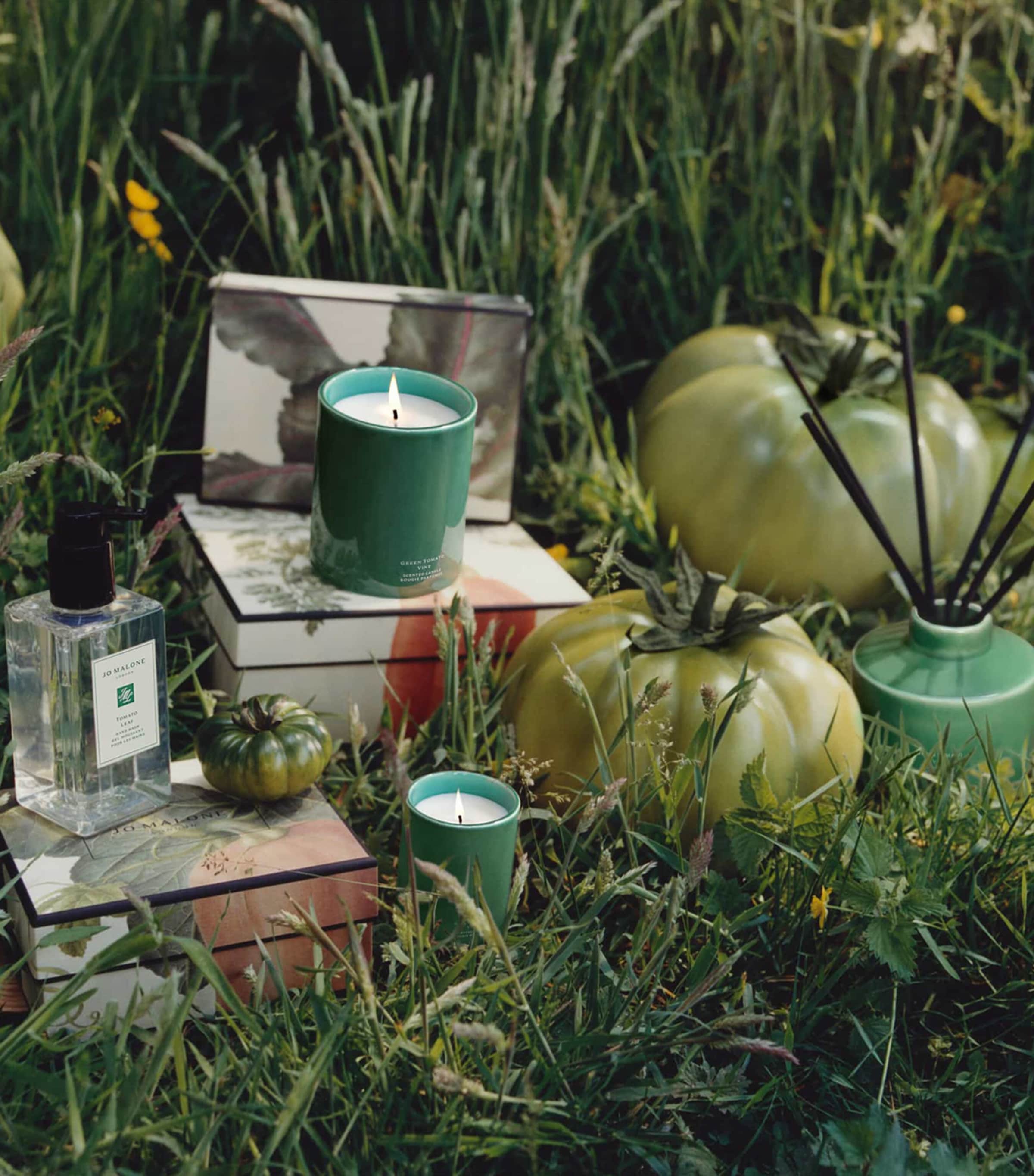 Jo Malone London Tomato Leaf Hand Wash (250ml) | Harrods TW