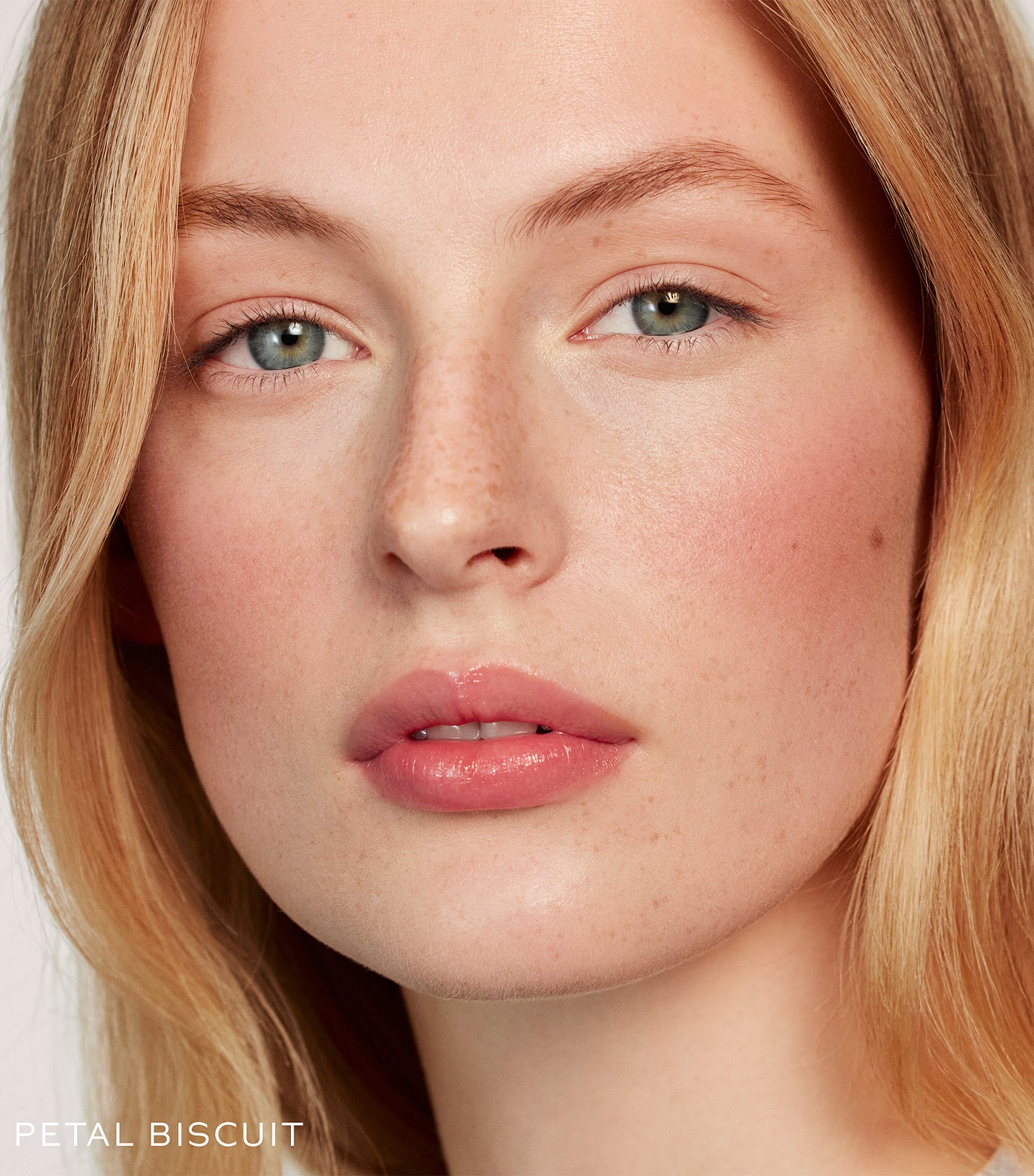 The Powder Duos Blush PETAL & BISCUIT Image 2