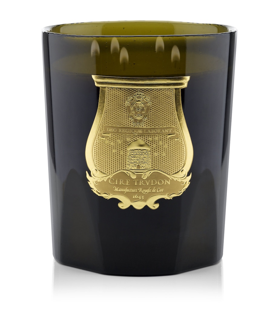 Ernesto Candle (2.8kg) GREEN Image 2
