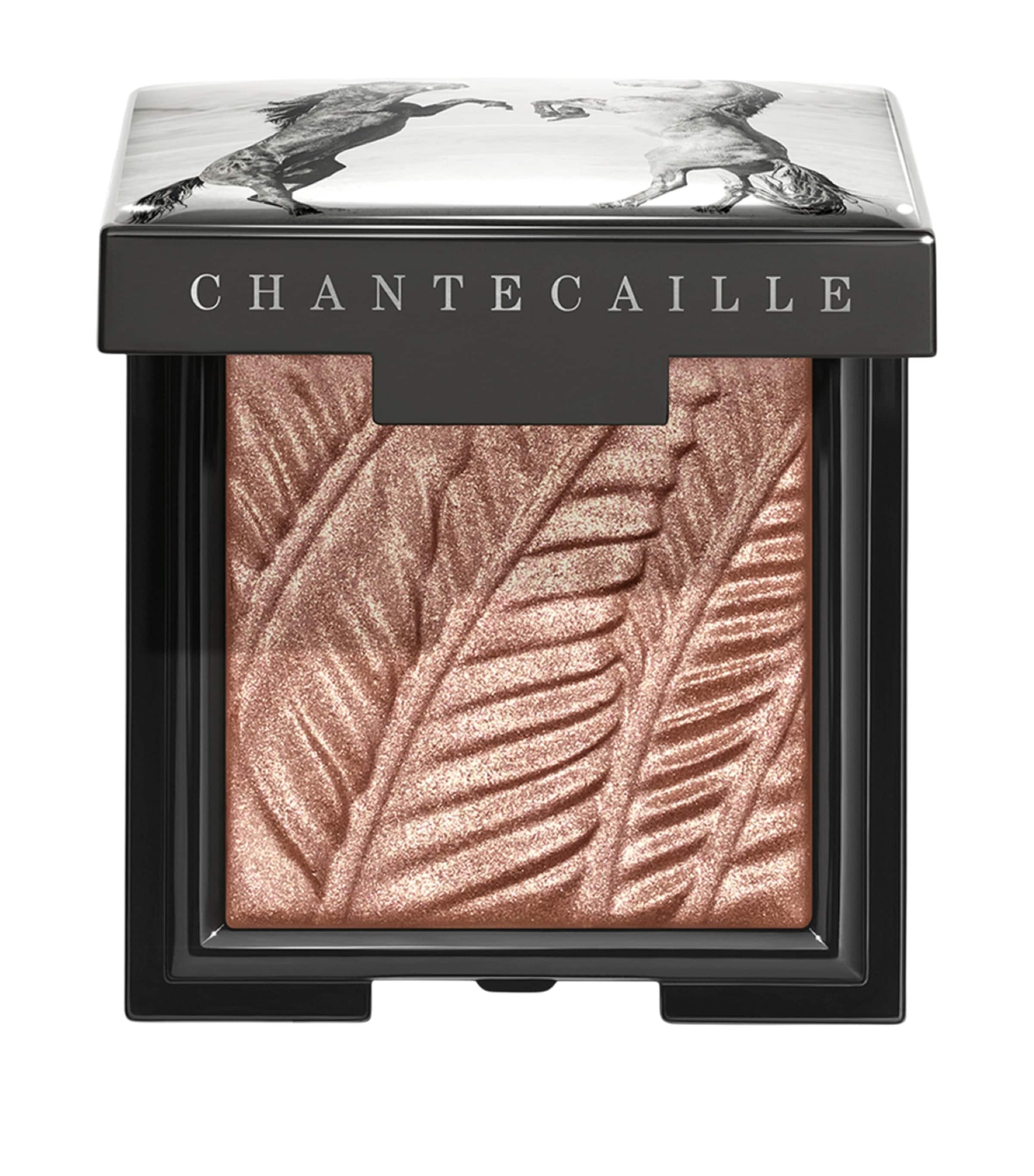 Chantecaille Luminescent Eye Shade Mustang Image 1