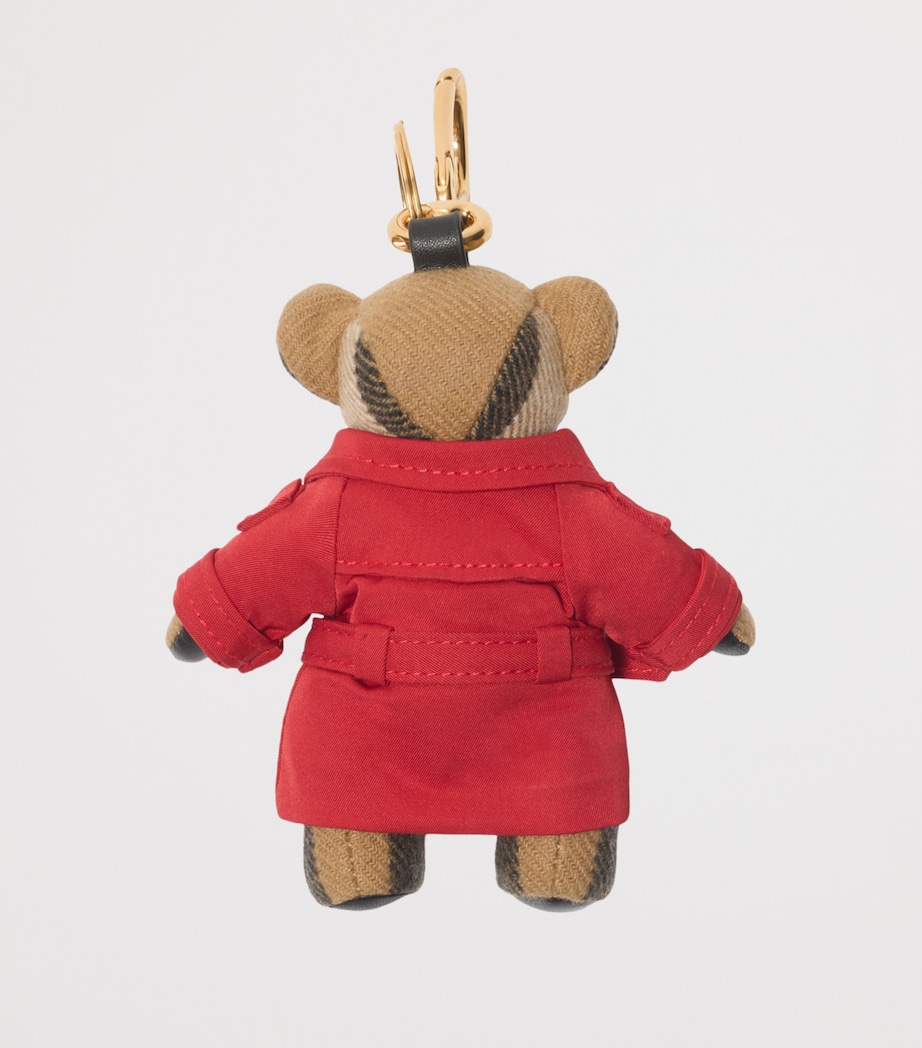 Cashmere Thomas Bear Charm CRAYON RED Image 2
