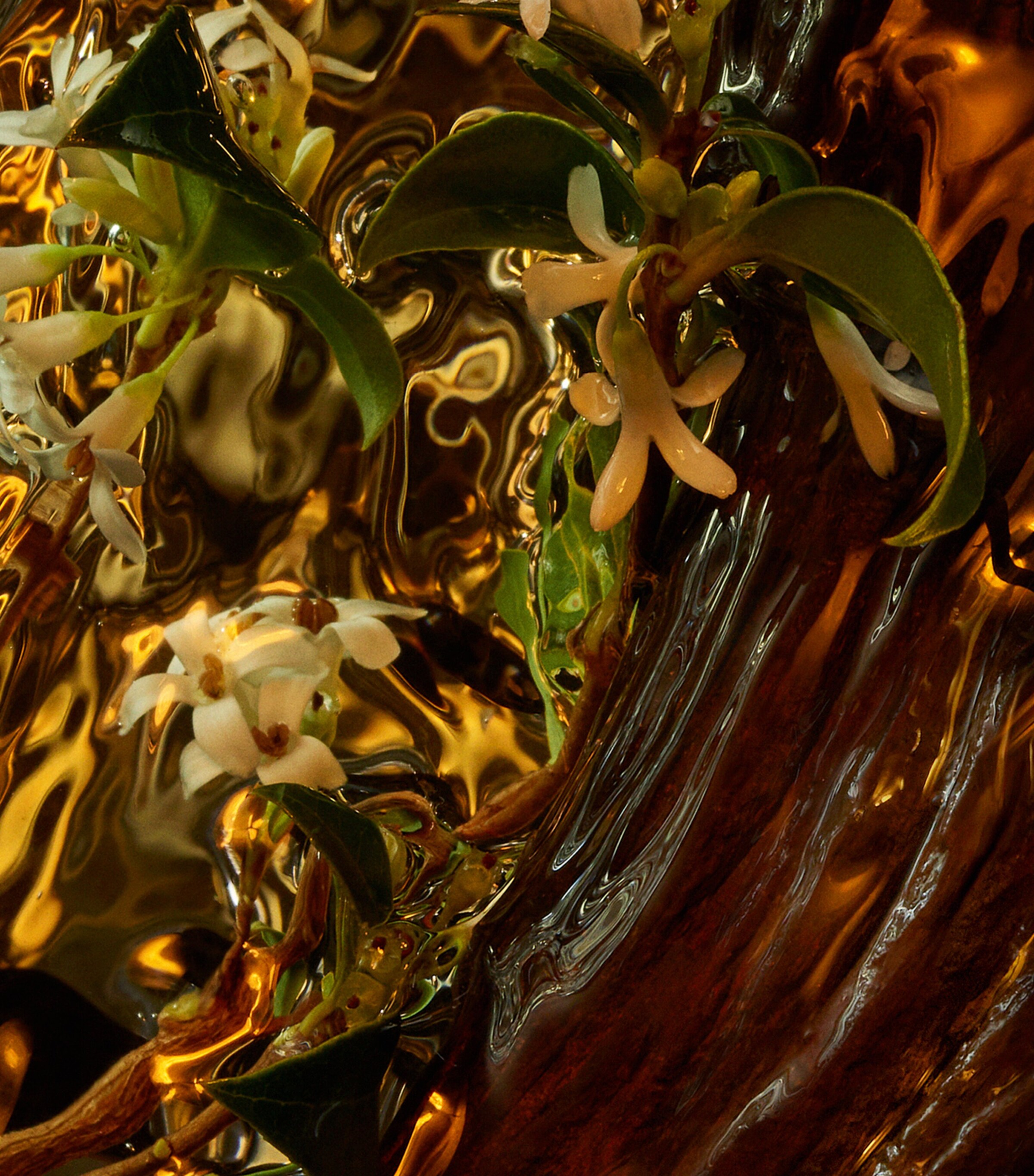 Absolus Allegoria Cuir Intense Eau de Parfum (125ml) NO COLOUR Image 5