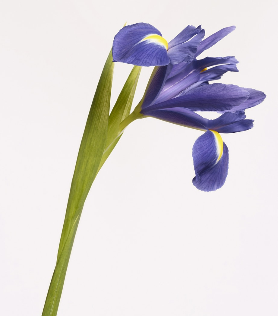 Hawthorne Bloom Eau de Parfum (100Ml) NO COLOUR Image 5