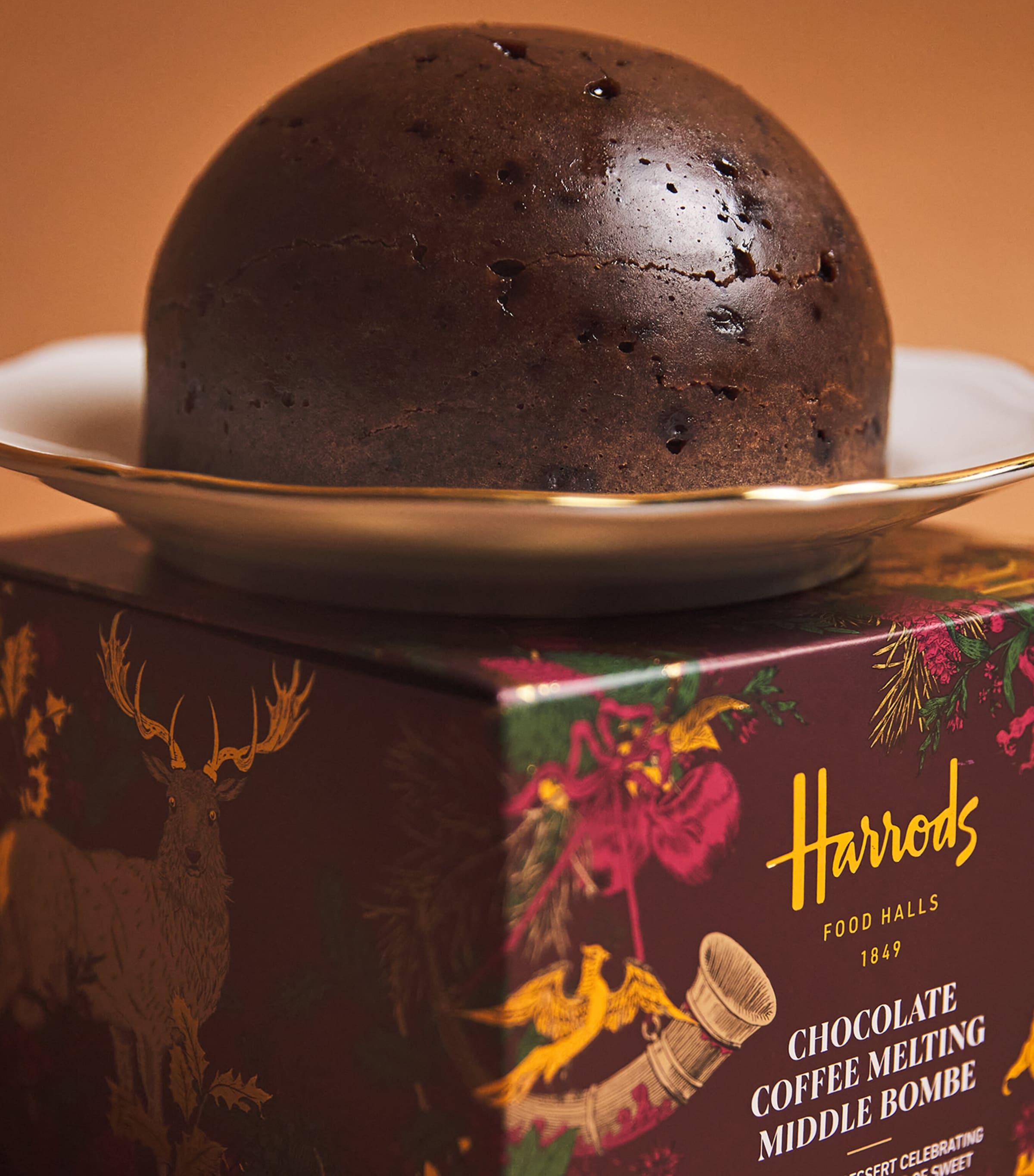 Mocha Caramel Melt-in-the-Middle Bombe (600g) NO COLOUR Image 2