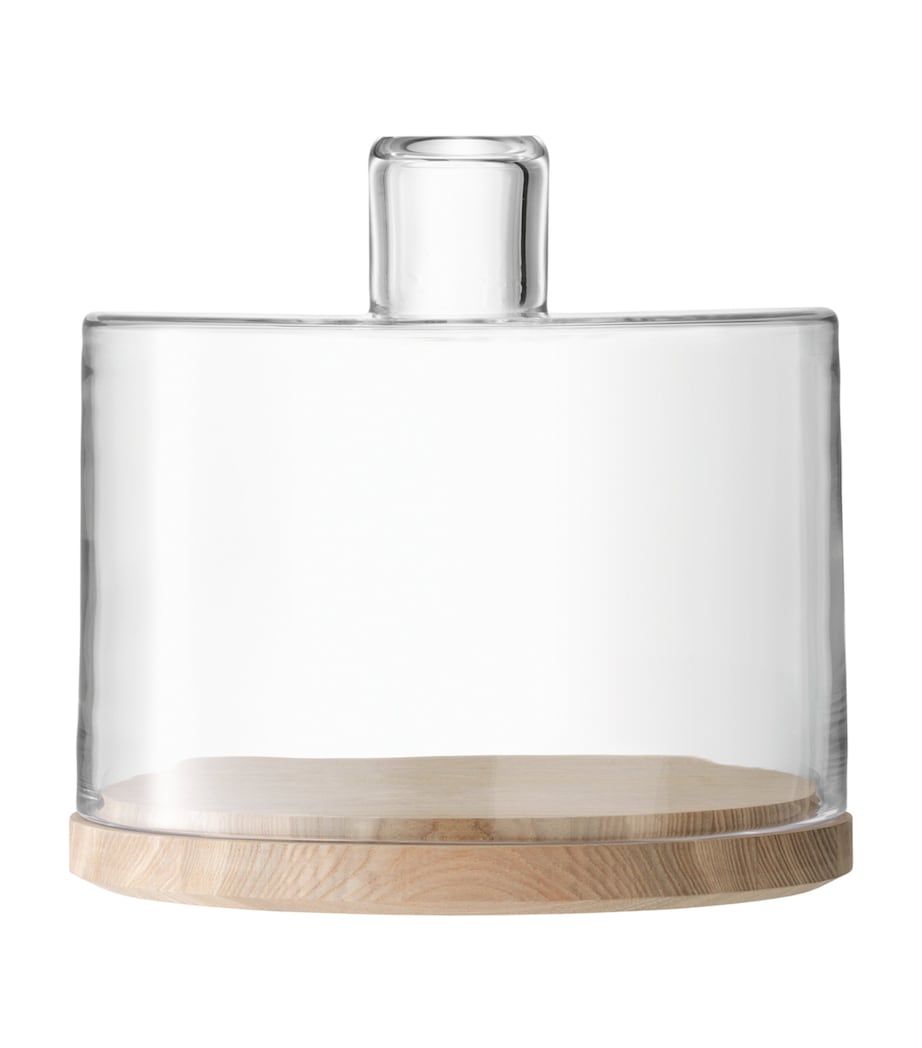 Lotta Cake Dome with Base CLEAR Image 1