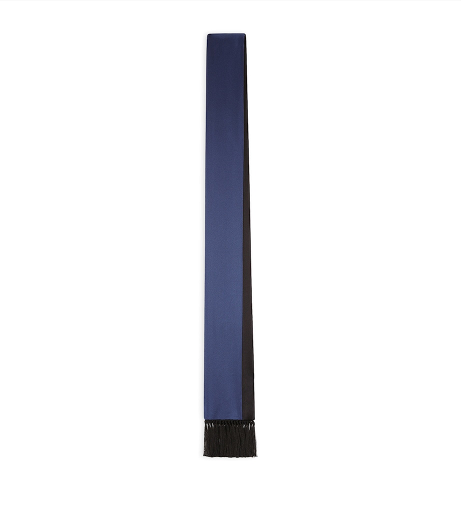 Silk Fringed Scarf B0065-BLUE Image 1