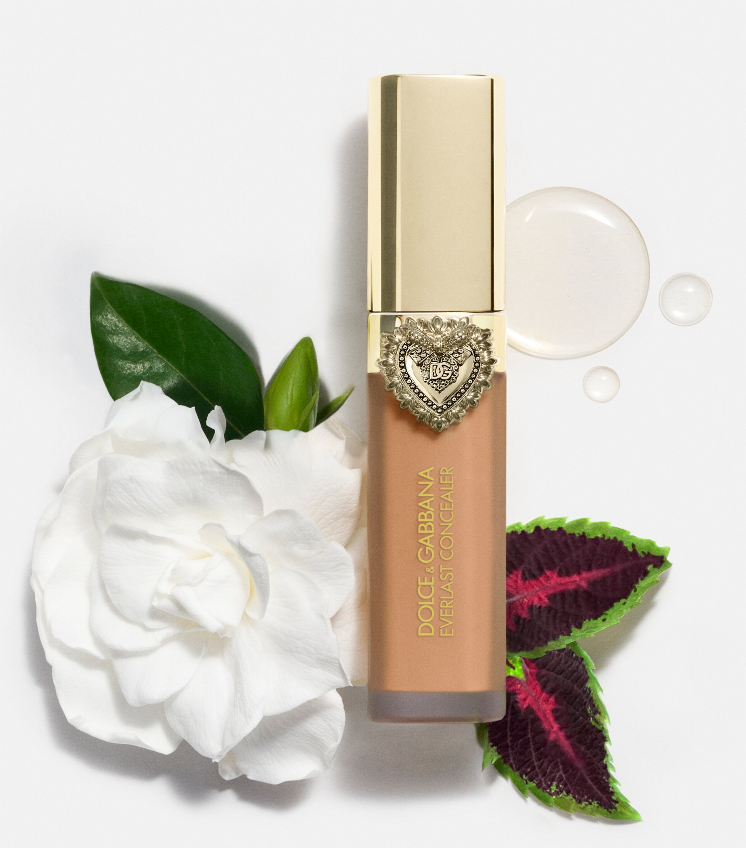 Everlast Concealer 03LIGHT Image 7