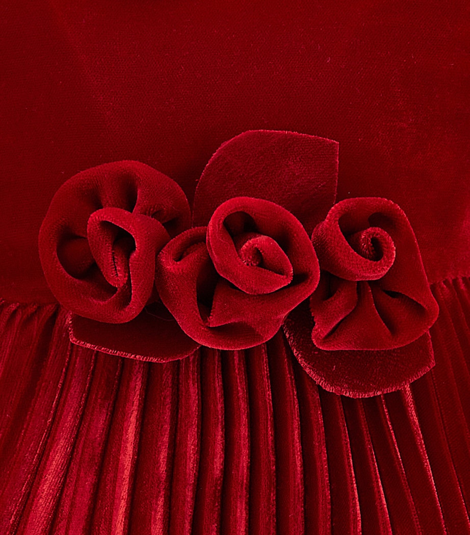 Velvet Rose Dress (3-36 Months) RUBINO Image 4