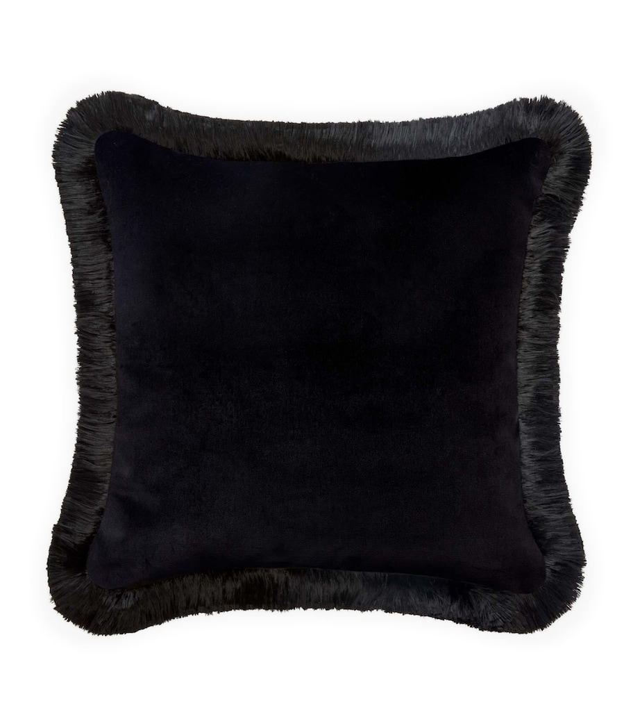 Medium Jacqaurd Trematonia Cushion (45cm x 45cm) EBONY Image 3