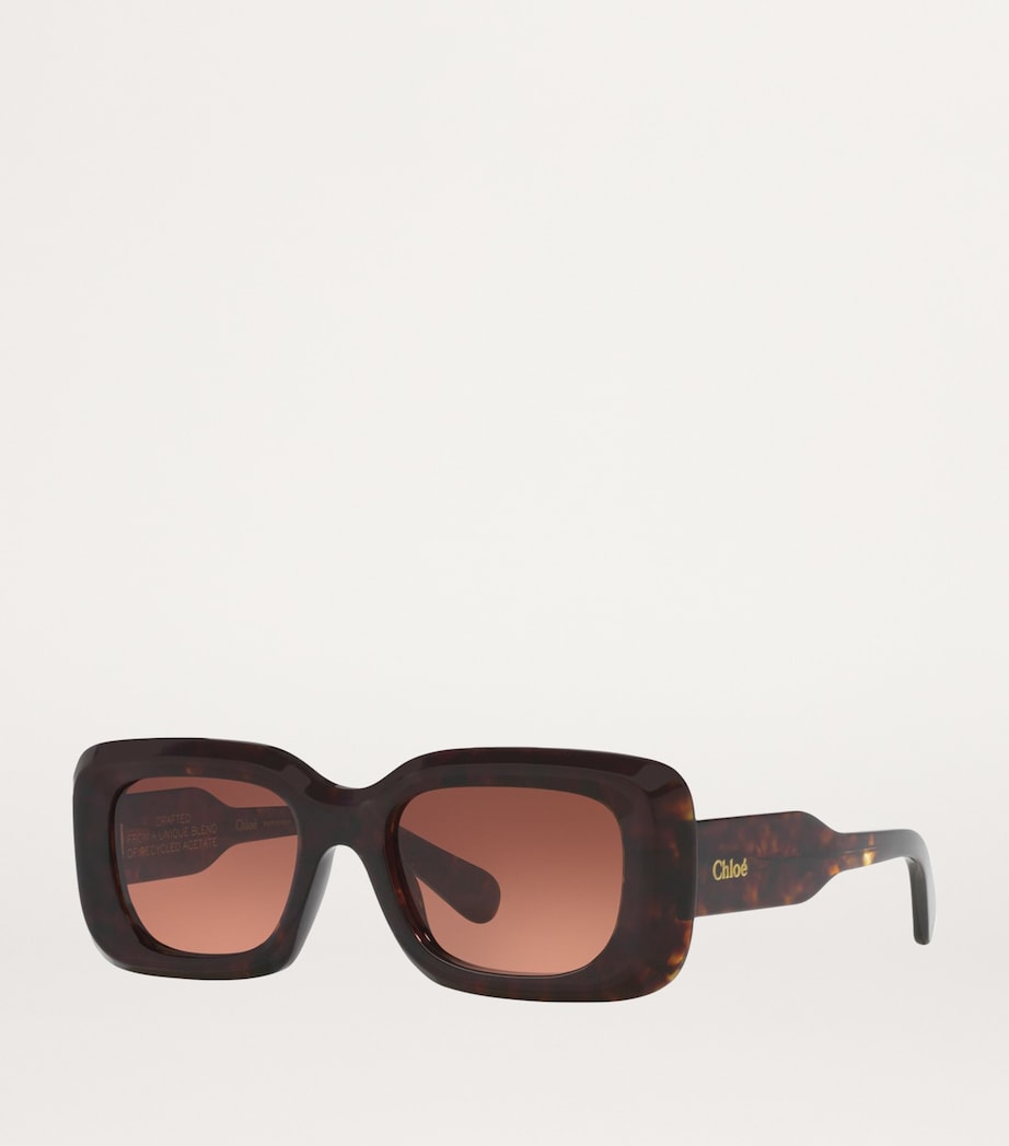 Acetate 06N000505 Sunglasses 4402H1 Image 2