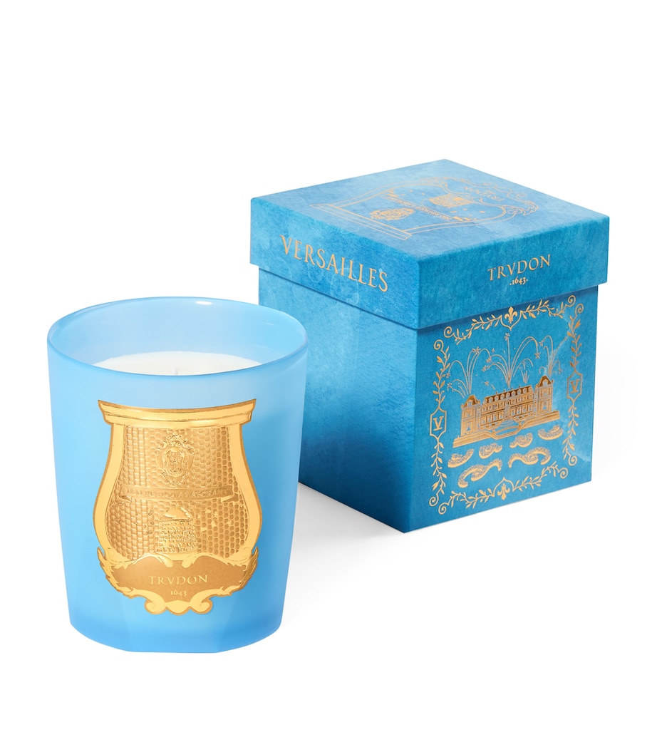 Great Versailles Scented Candle (2.8kg) BLUE Image 5