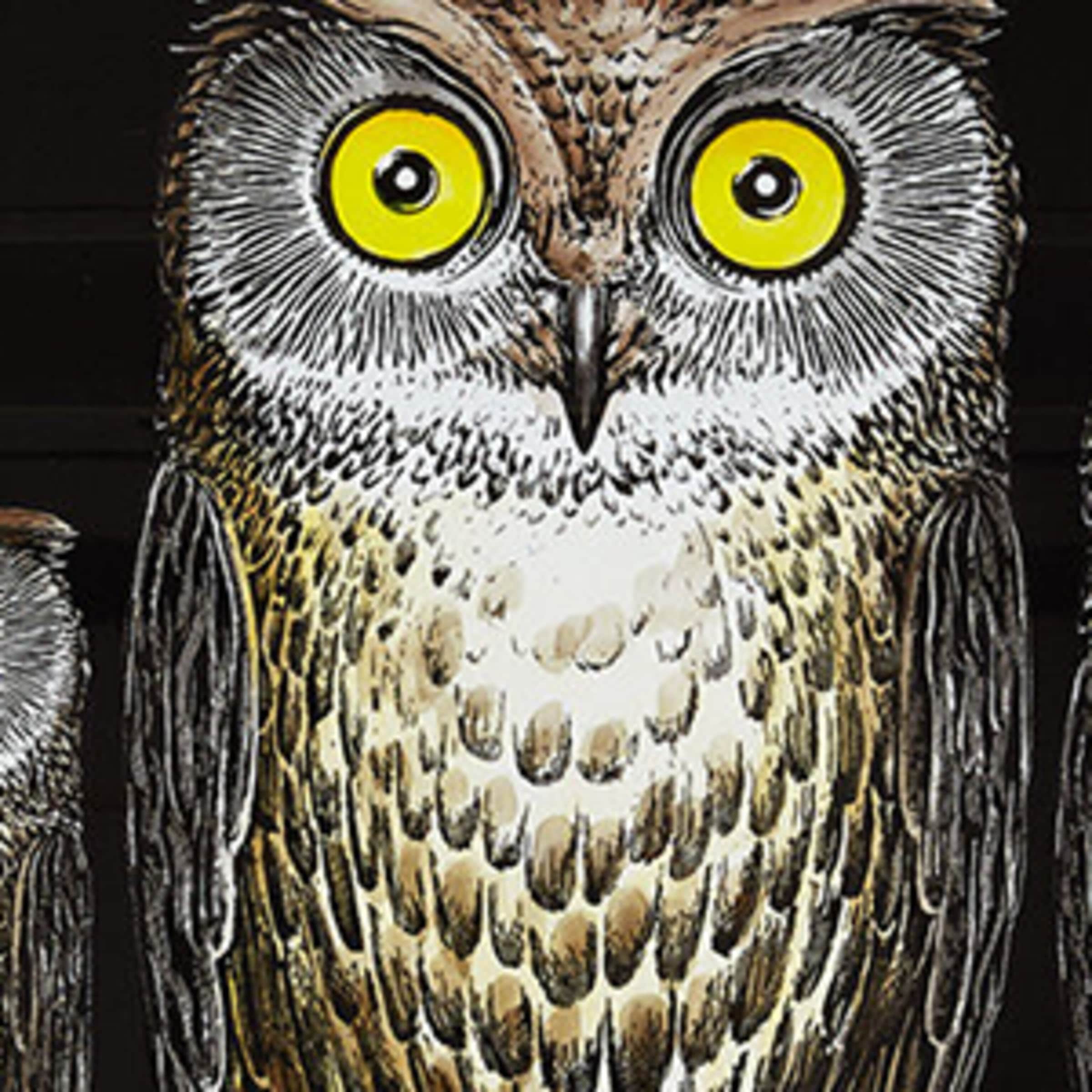 Fornasetti 시베트 트레이 60cm