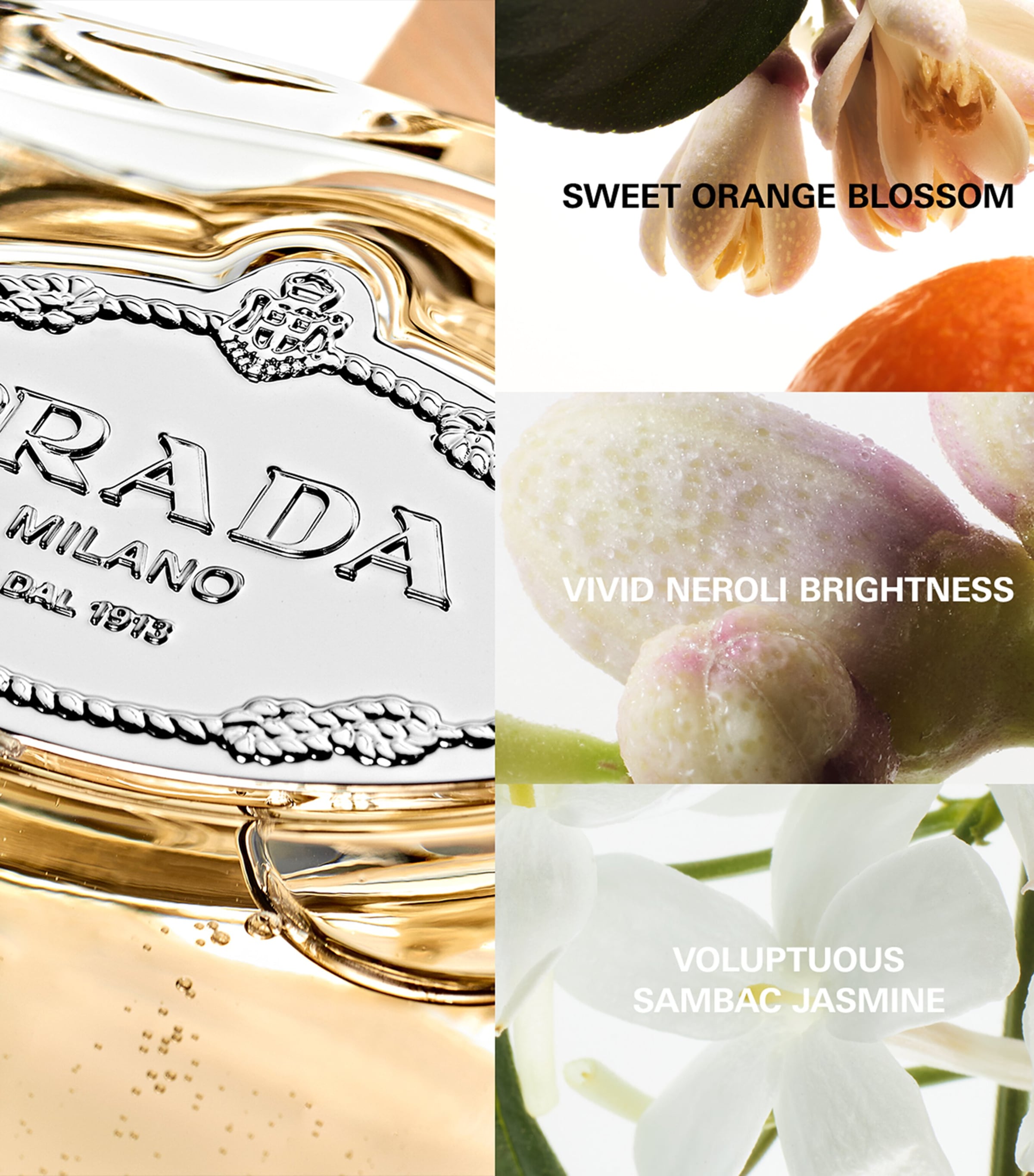 Infusion d'Oranger Eau de Parfum NO COLOUR Image 3