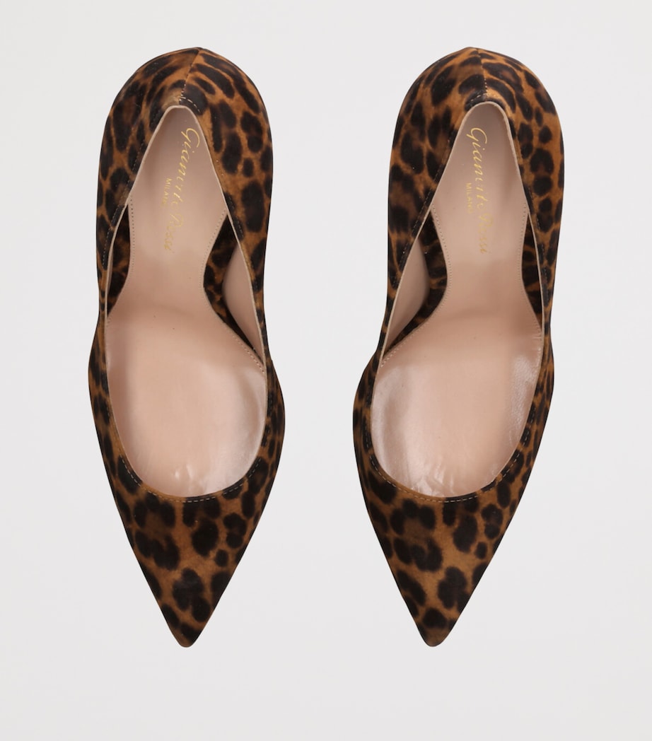 Suede Leopard Gianvito Pumps 105 BROWN/OTH Image 4