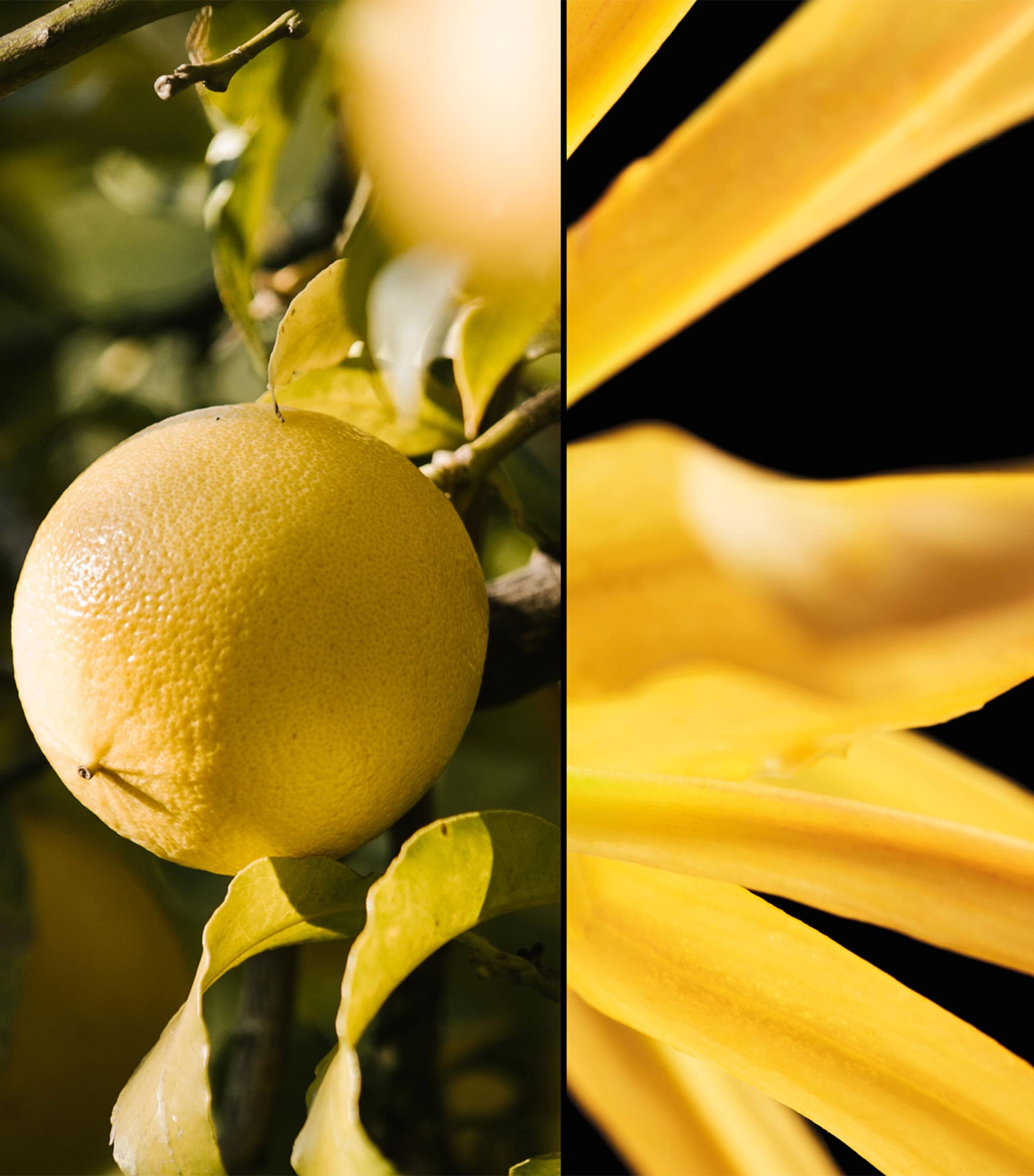 Les Légendaires Terracotta Eau de Toilette (75ml) NO COLOUR Image 2