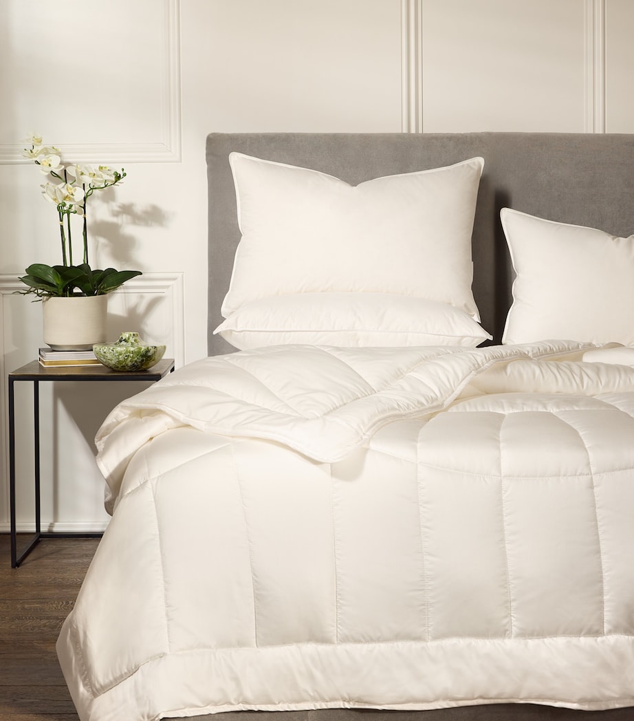 Medium/Firm 90% Hungarian Goose Down Pillow (50cm x 75cm) NONE Image 4