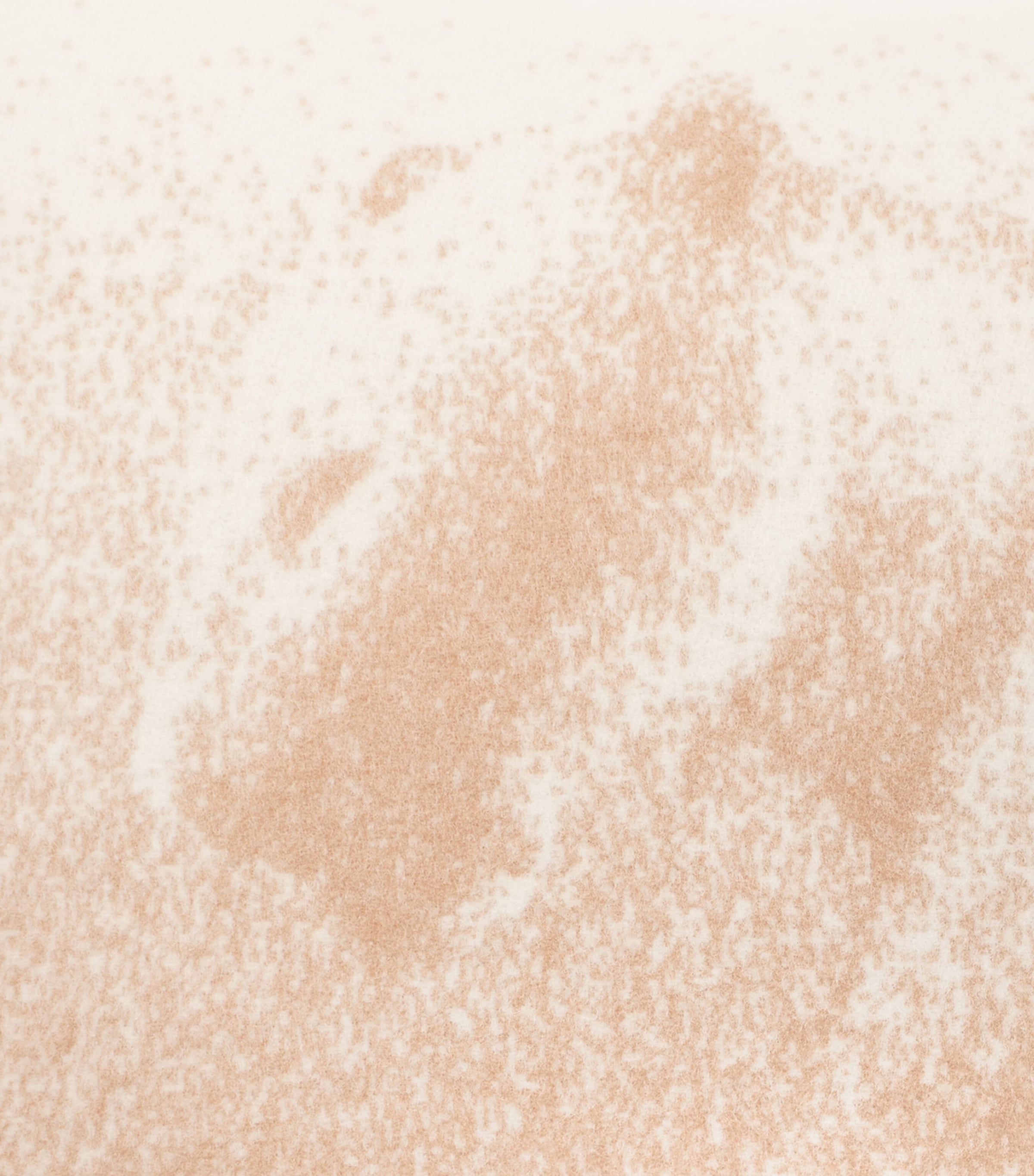 Cashmere Panthère de Cartier Cushion (50cm x 50cm) BEIGE Image 3