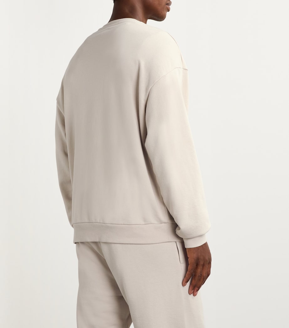 Alo Yoga Mens Cotton-Blend Chill Sweatshirt Bone Image 4