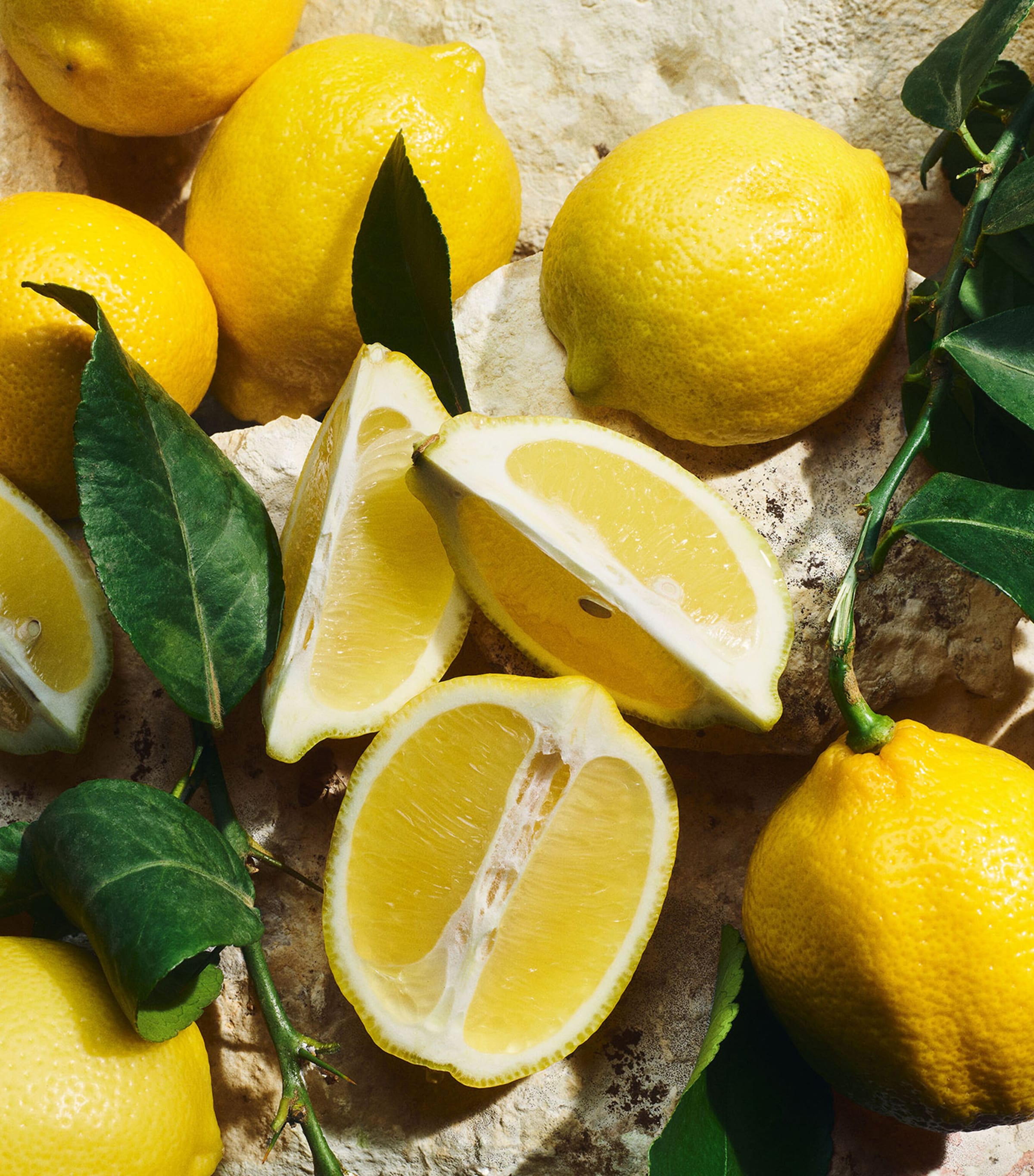 Light Blue Pour Homme Eau de Toilette (100ml) NO COLOUR Image 4