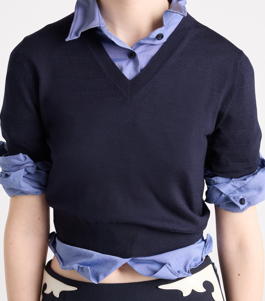 Wool V-Neck Sweater F0008 Image 4