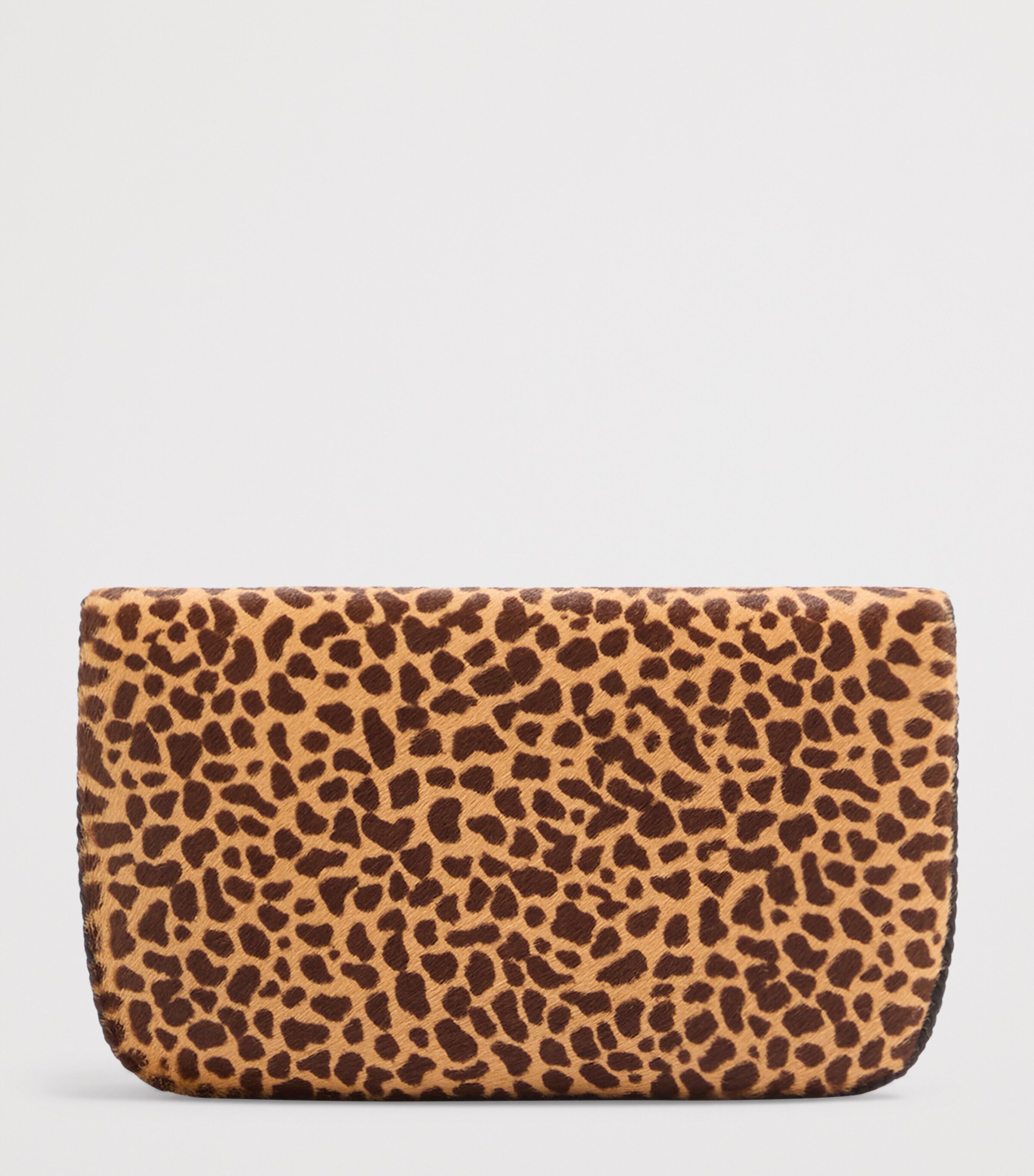 Mini Leopard Print Bag C2J Image 4