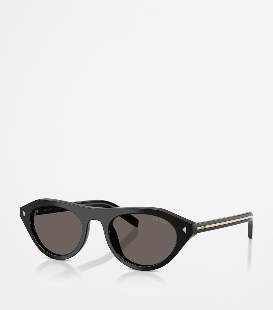 Acetate PR B15S Sunglasses 16K731 Image 2