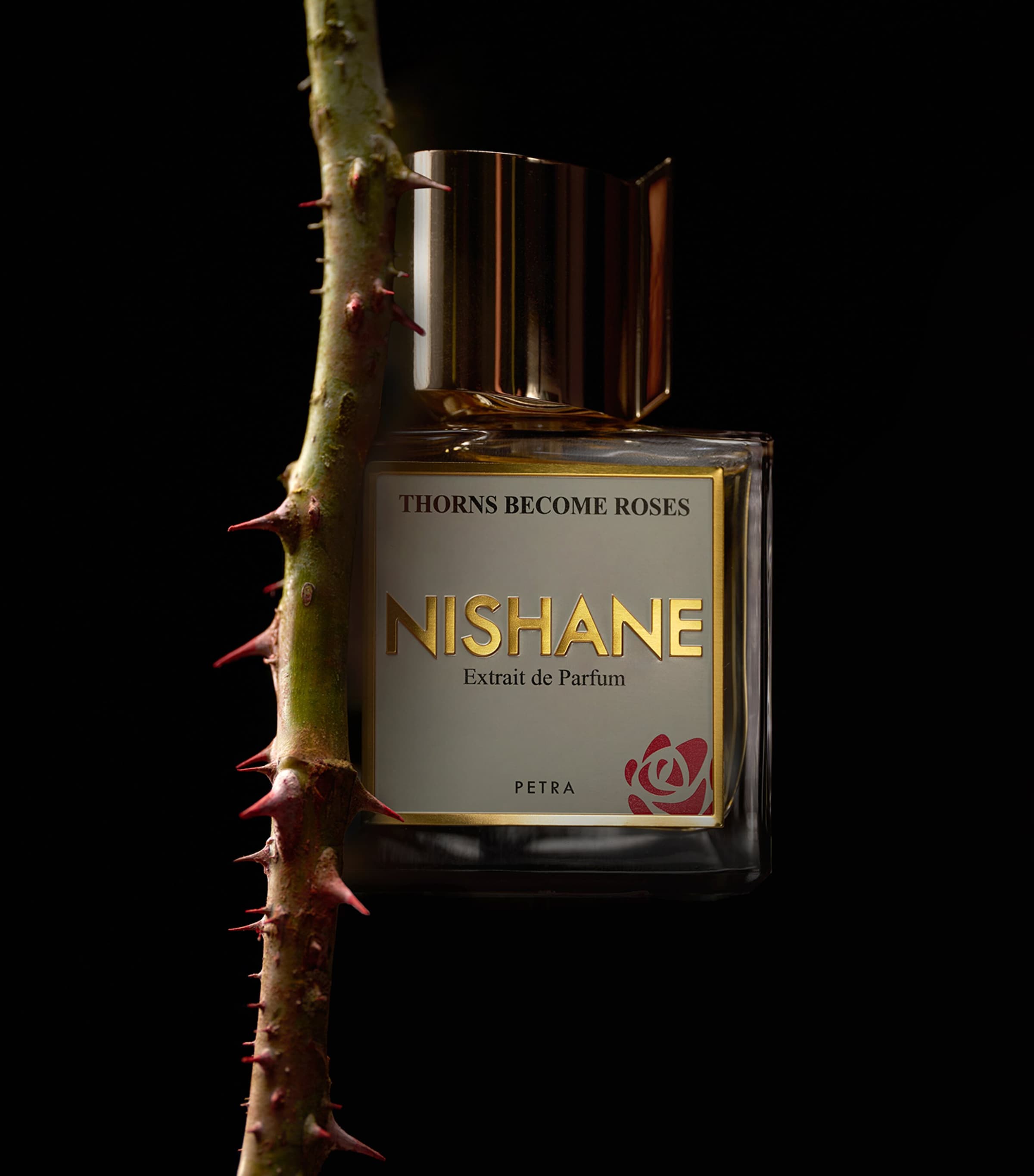 Nishane Thorns Become Roses Extrait de Parfum (100ml) Image 6