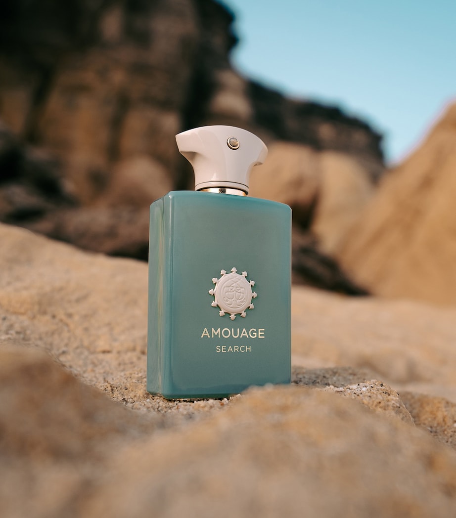 Search Eau de Parfum (100ml) NO COLOUR Image 4