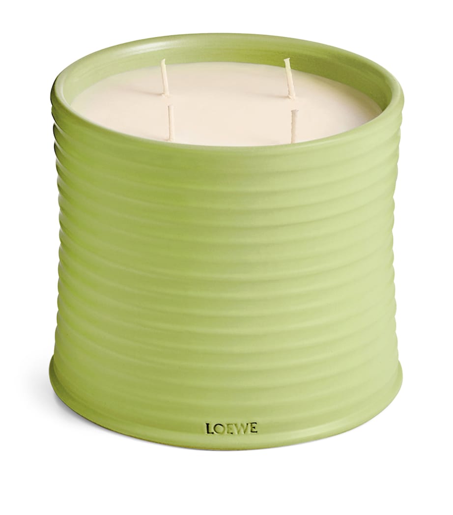 Large Cucumber Scented Candle NO COLOUR Image 1