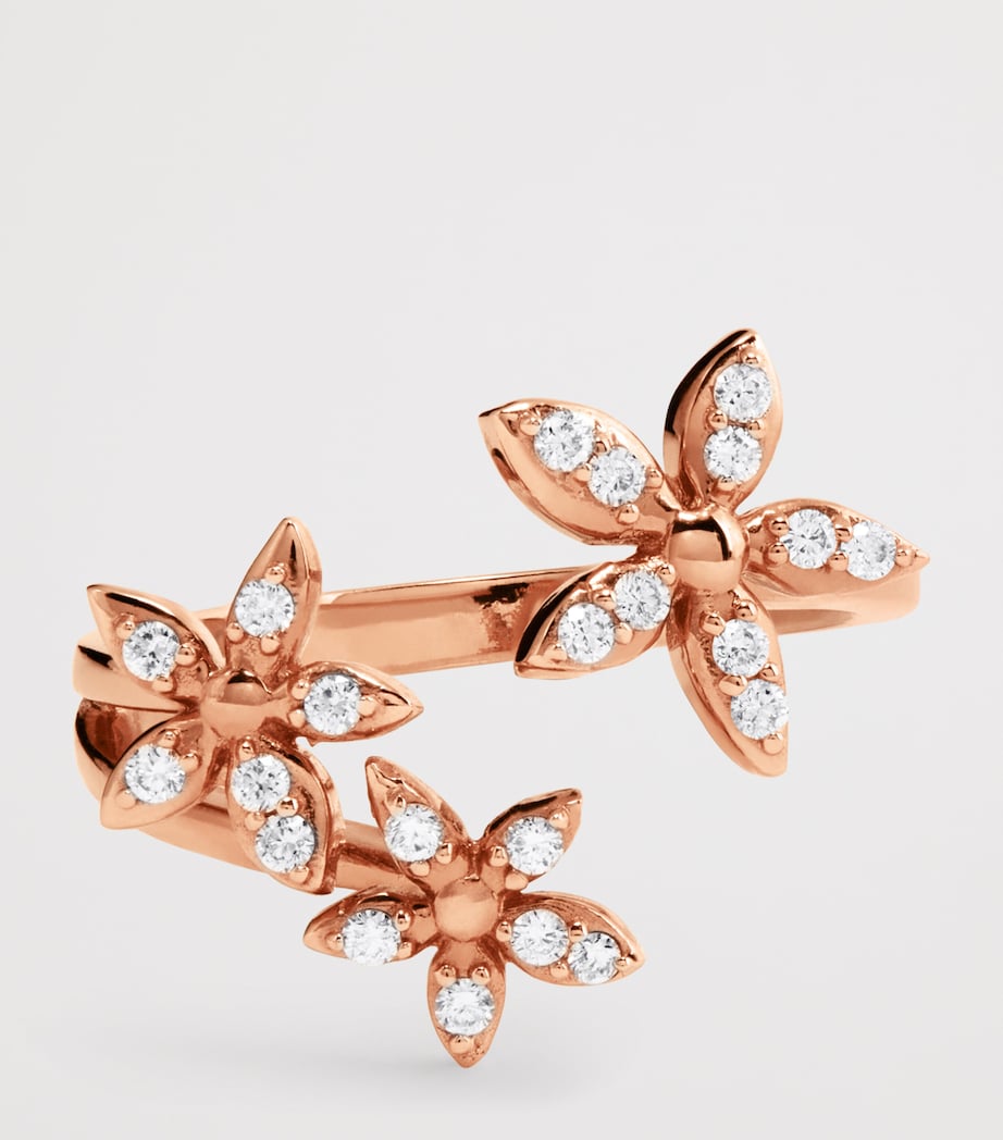 Rose Gold and Diamond Apple Seed Tara Ring ROSE GOLD Image 4