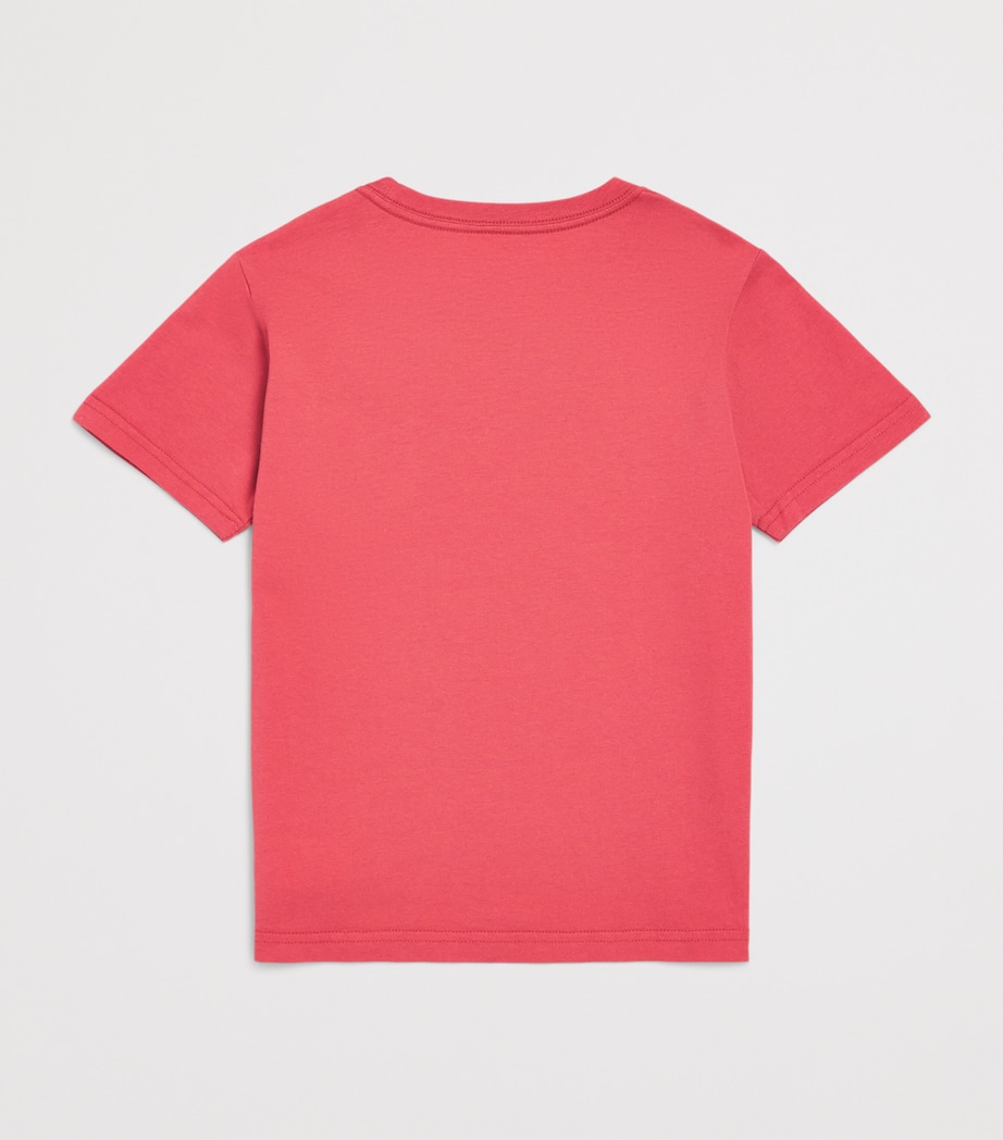 Ralph Lauren Kids Cotton Polo Pony T-Shirt (2-7 Years) Red Sky Image 2