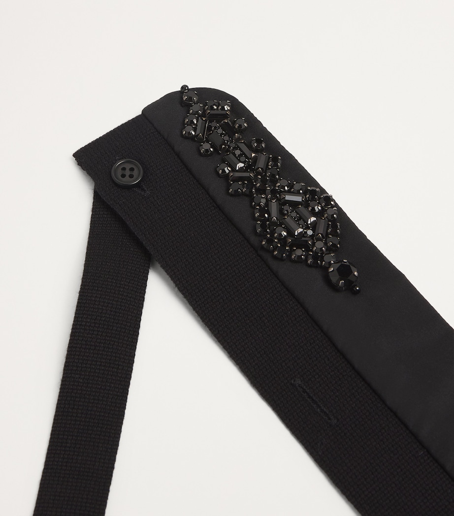 Embellished Hood Trim BLACK Image 2