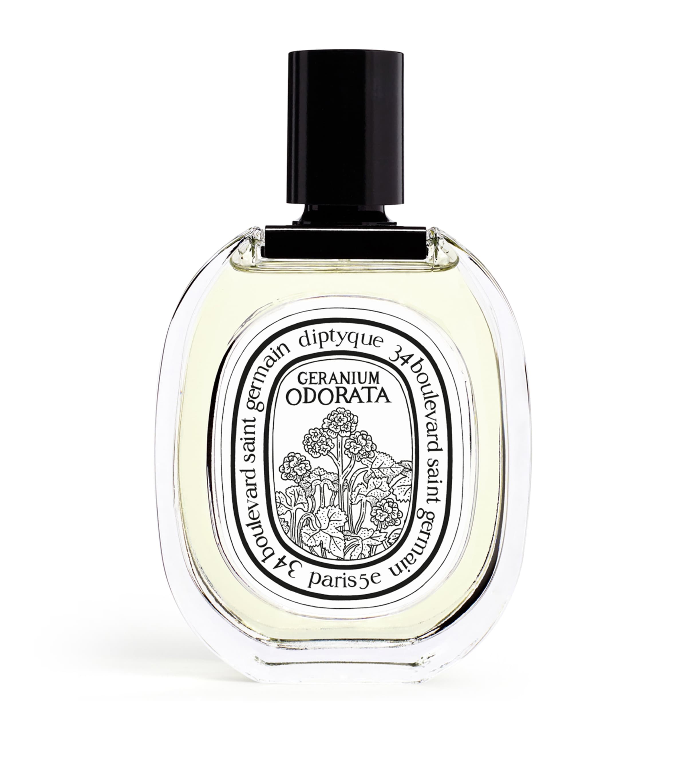 Diptyque Geranium Odorata Eau De Toilette In White