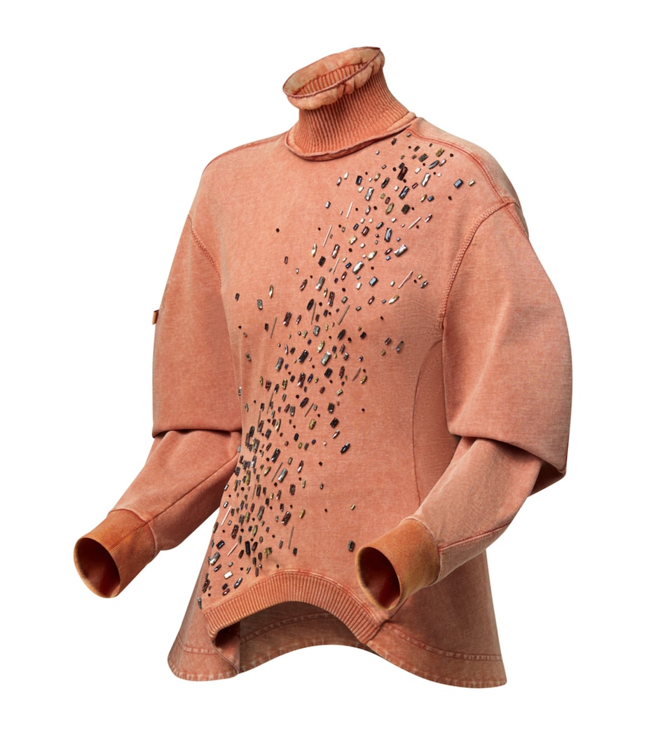 Cotton Embellished Rollneck Sweatshirt PINK Image 2
