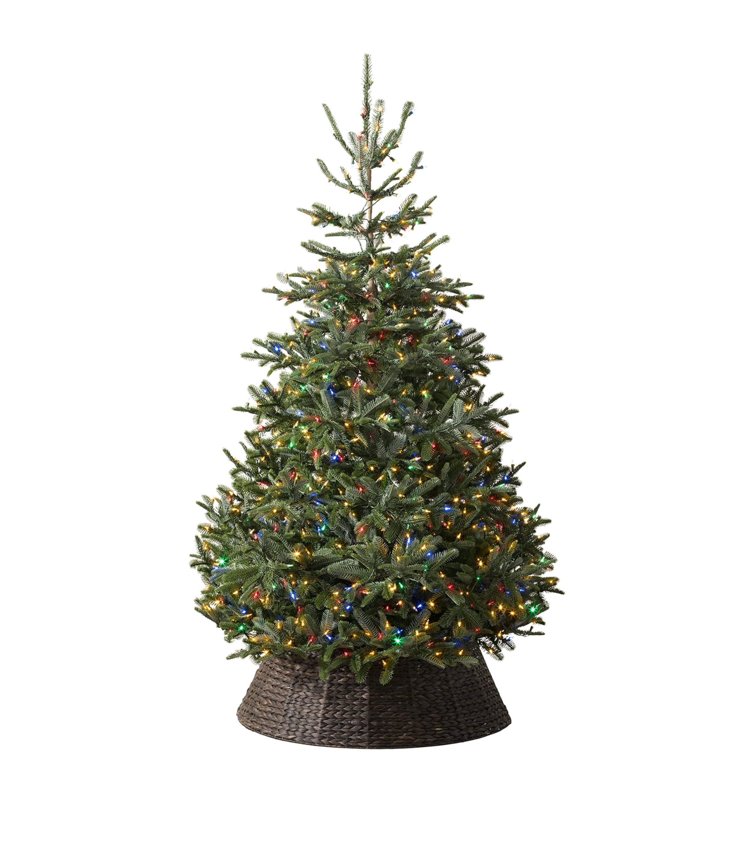 Balsam Hill Nordmann Fir Led Christmas Tree In Multi
