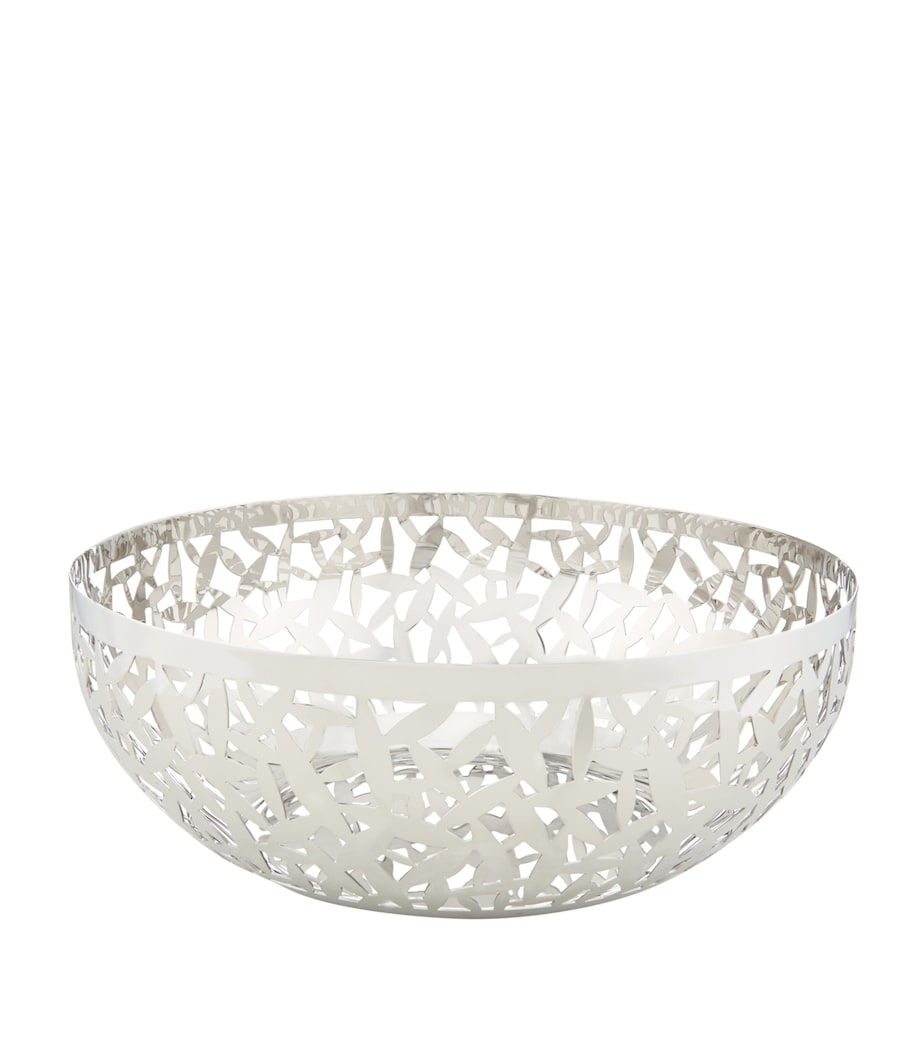 Large Cactus! Fruit Bowl MULTI Image 1