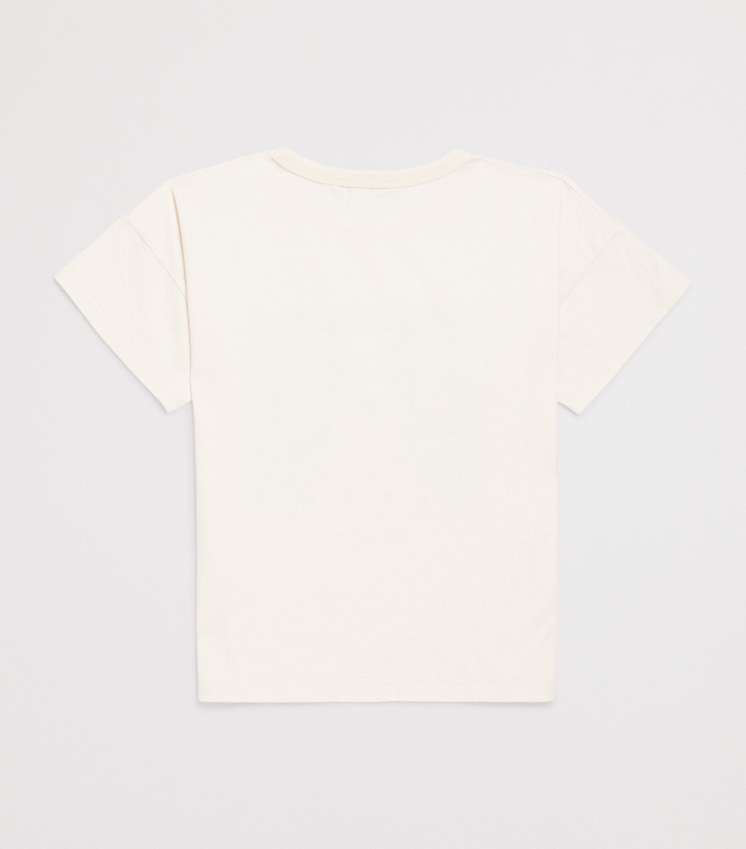 Organic Cotton Van Dog Print T-Shirt (6-7 Years) WHITE Image 2