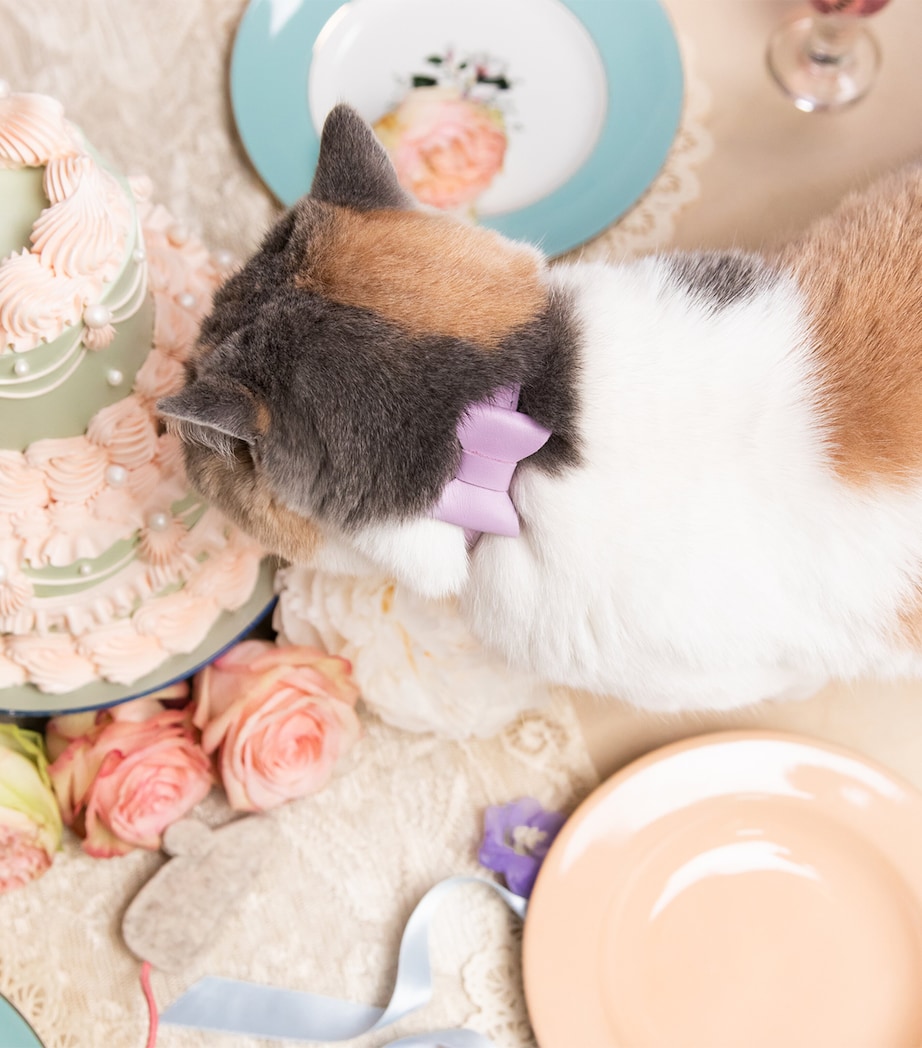 Cheshire & Wain Small Rococo Cat Collar With Bow Purple Image 4