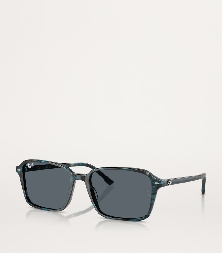 RB2231 Raimond Sunglasses 1417R5 Image 2