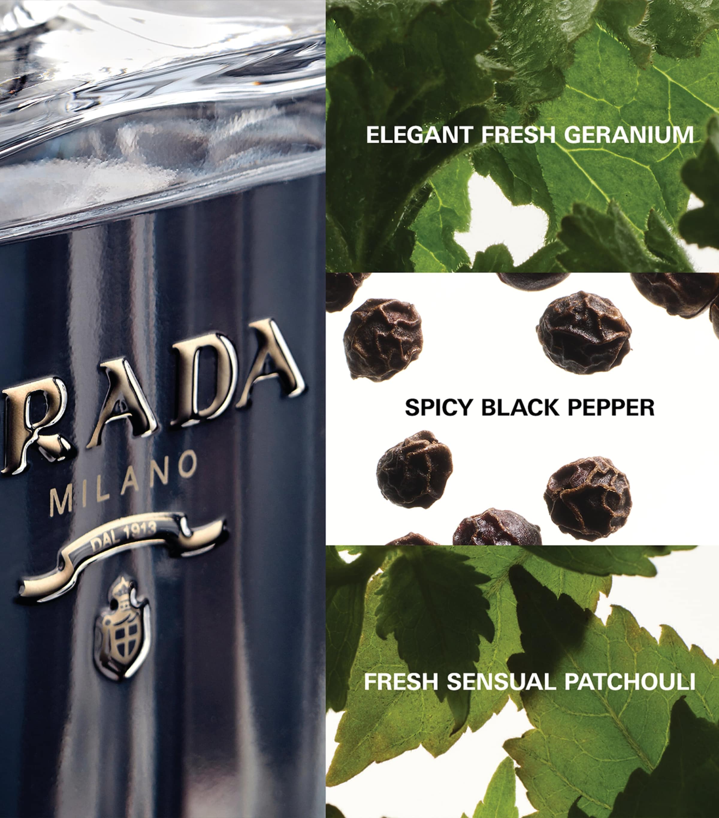 L'Homme Prada Eau de Toilette (50ml) NO COLOUR Image 3