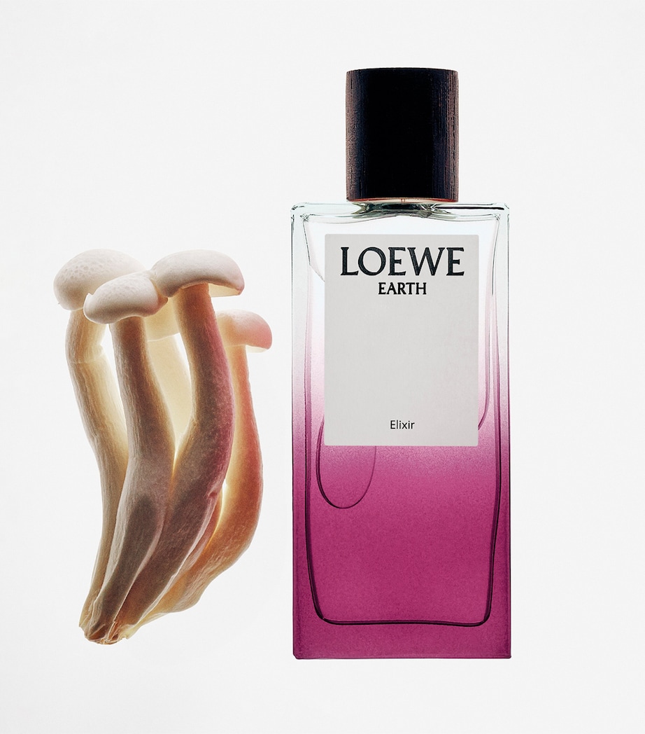 LOEWE Perfumes Earth Elixir Eau de Parfum (100ml) Image 4
