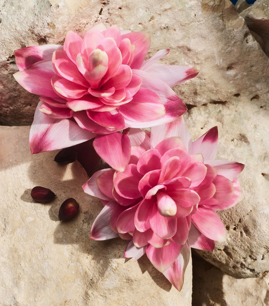 Light Blue Capri in Love Eau de Parfum (50ml) NO COLOUR Image 6