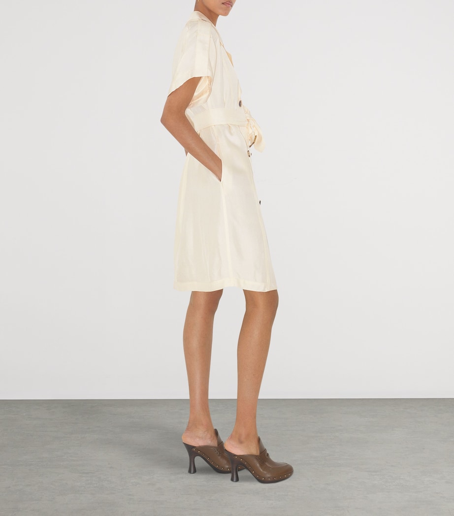 Belted Trench Midi Dress PELICAN Image 3