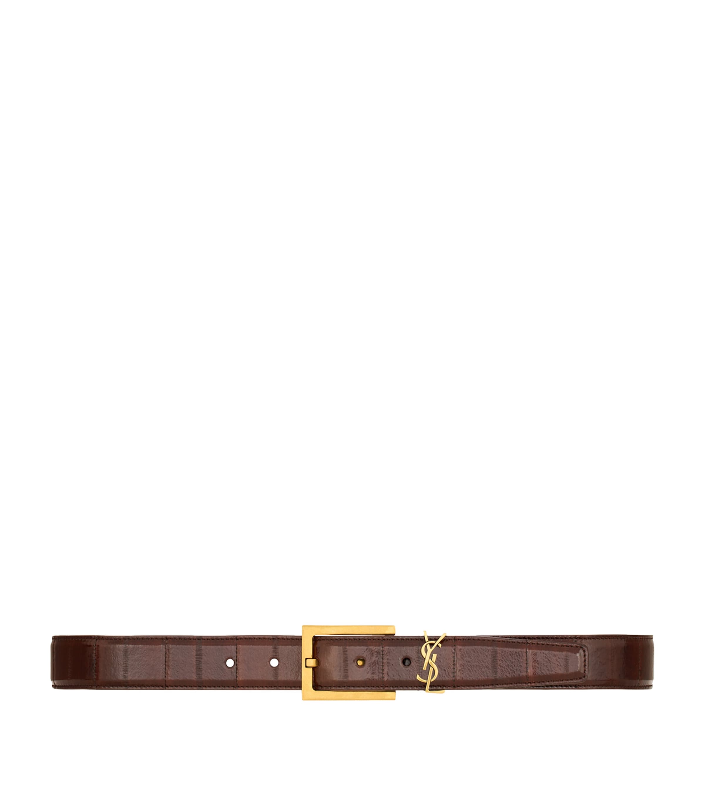 Saint Laurent Eeel Skin Cassandre Belt Image 1