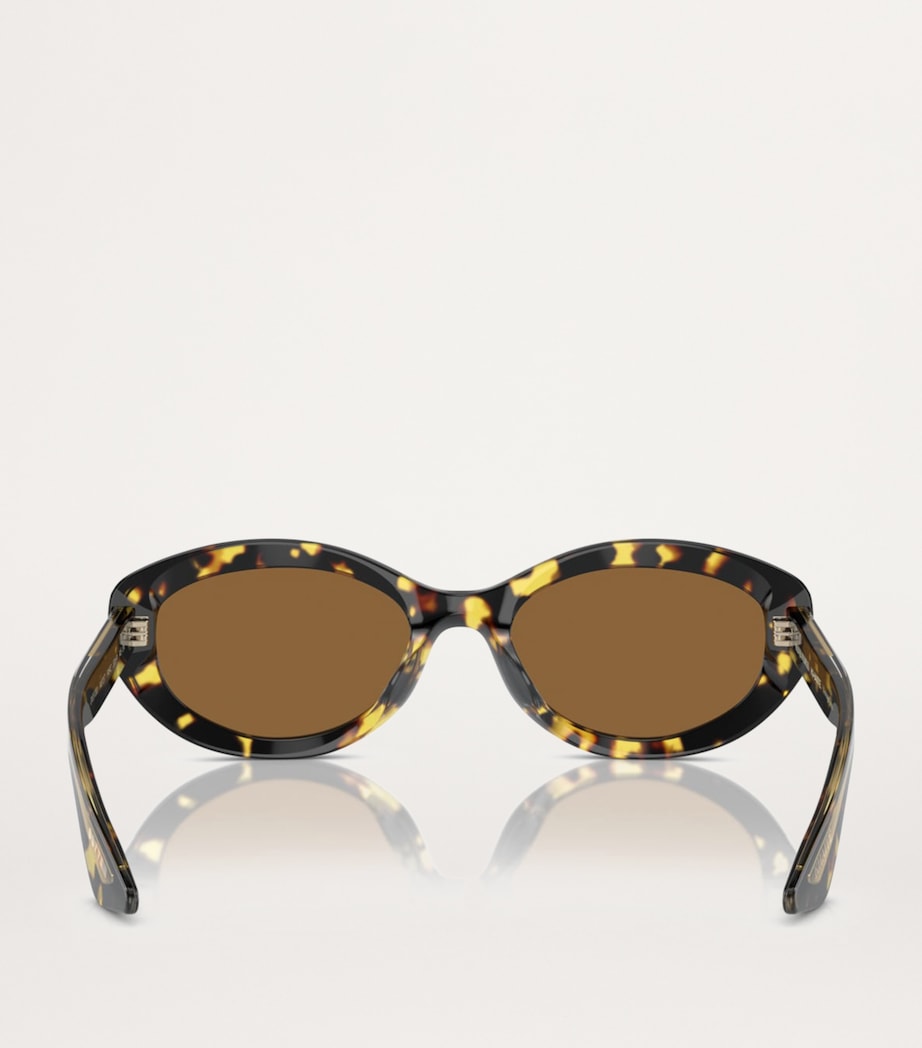 Acetate 1969C Sunglasses 140757 Image 4
